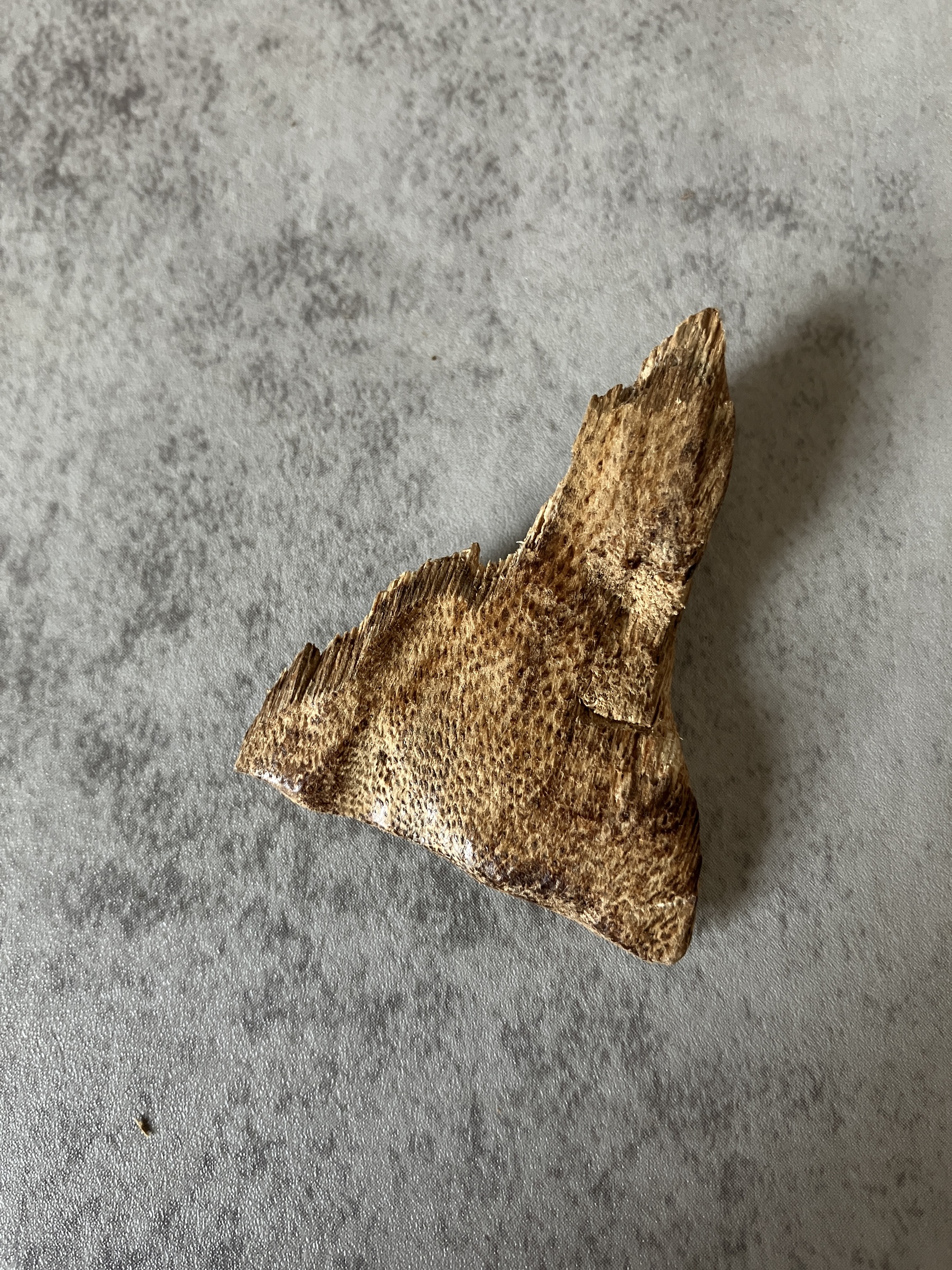 image_6C53EA97-D2EC-444A-8CB5-41753032DFBF_1770621206