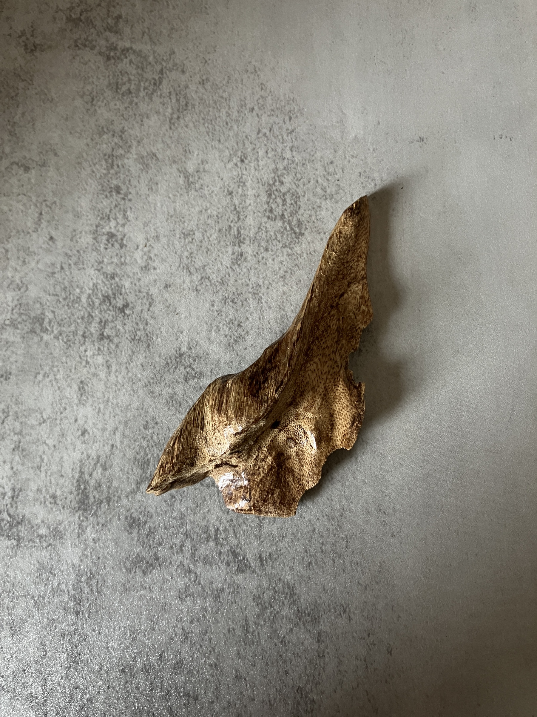 image_BE37327A-24C1-41D8-BD24-FC319399EB09_1770621206