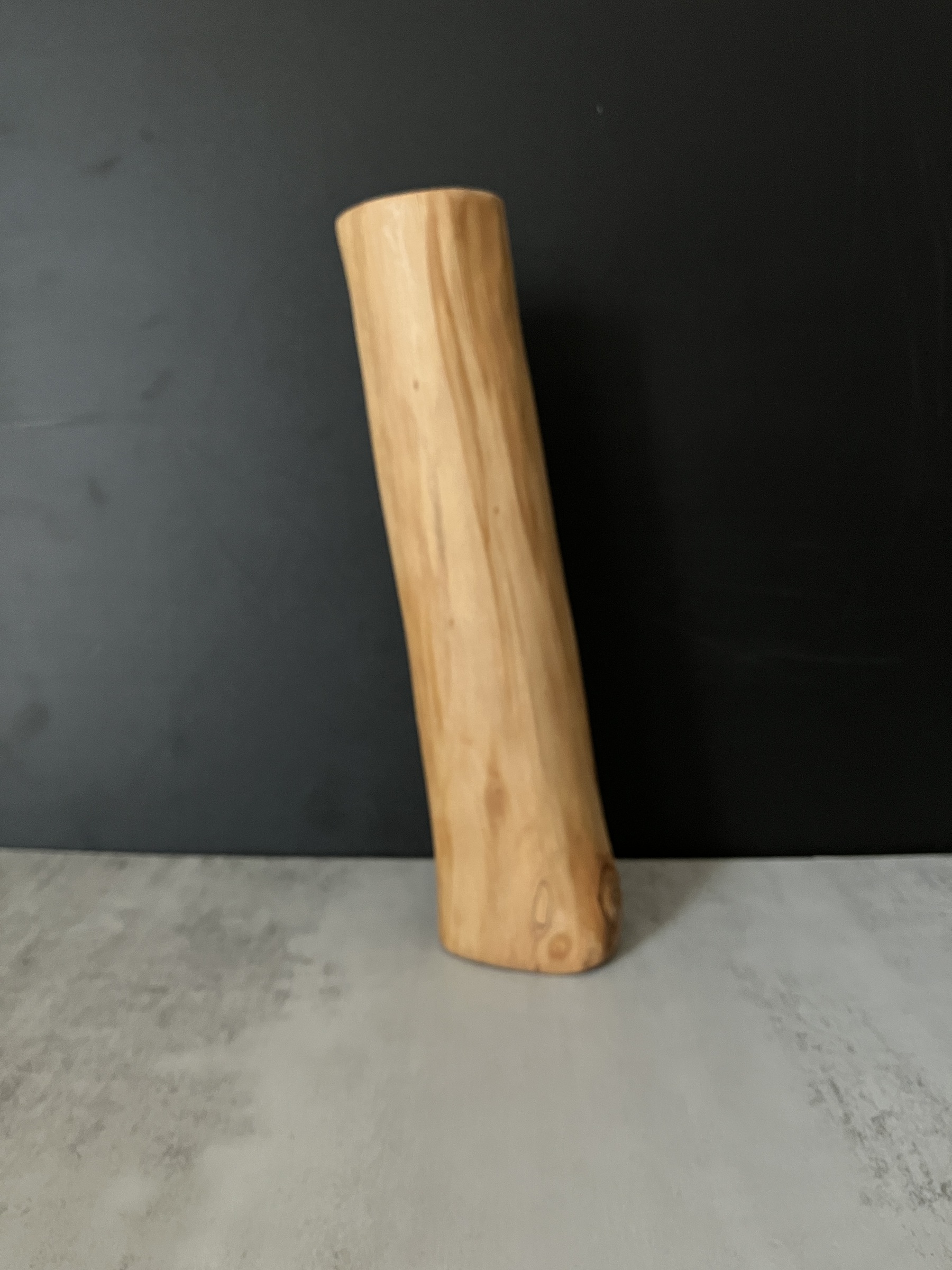 image_93DA1D52-33CA-4BC1-B541-294BC1A6A030_1770795882