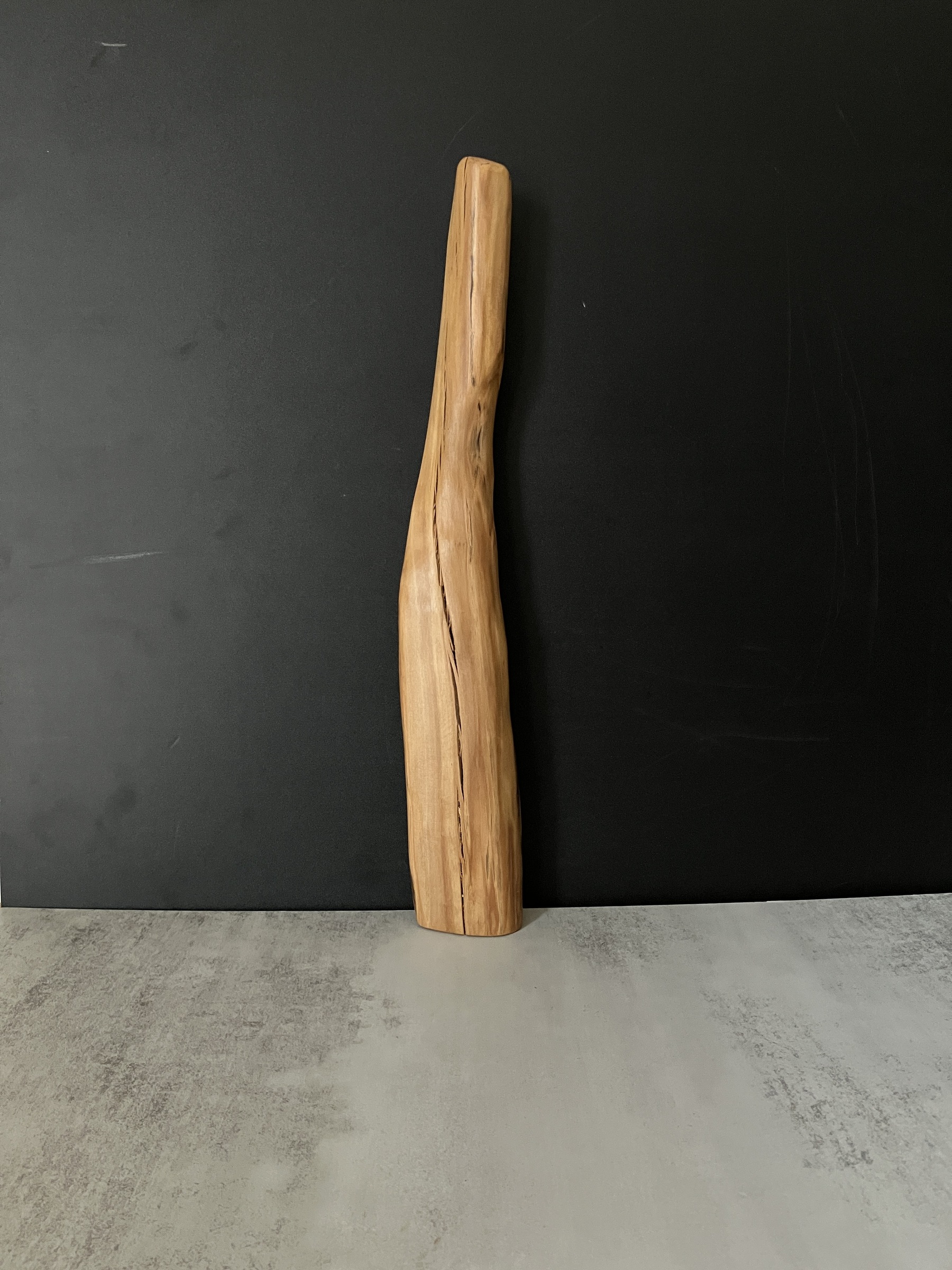 image_67A72383-9C77-45EA-A127-0F235D7F906E_1770796072