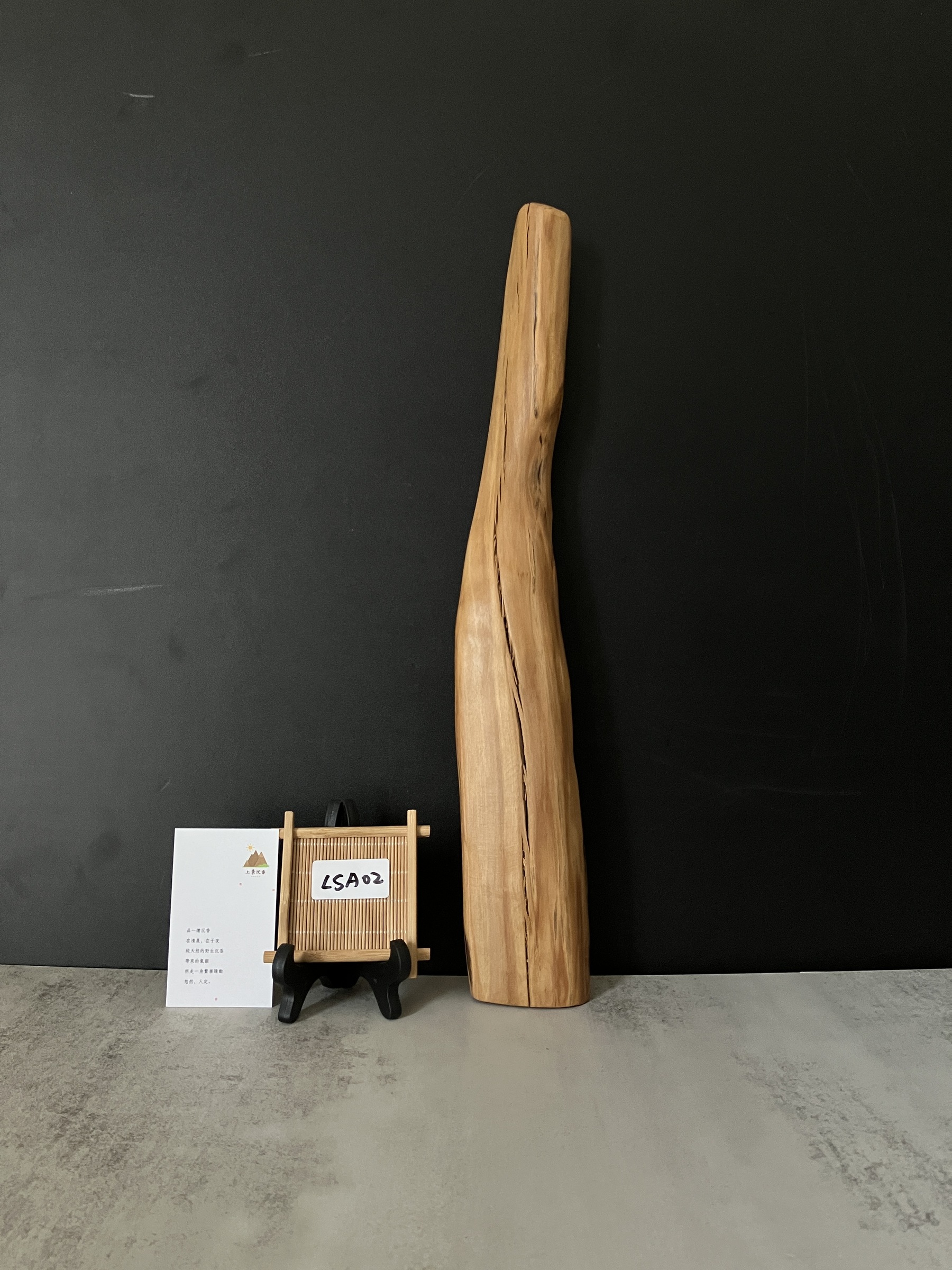 image_2957F6A2-C687-47B3-8E61-3589A1124429_1770796072