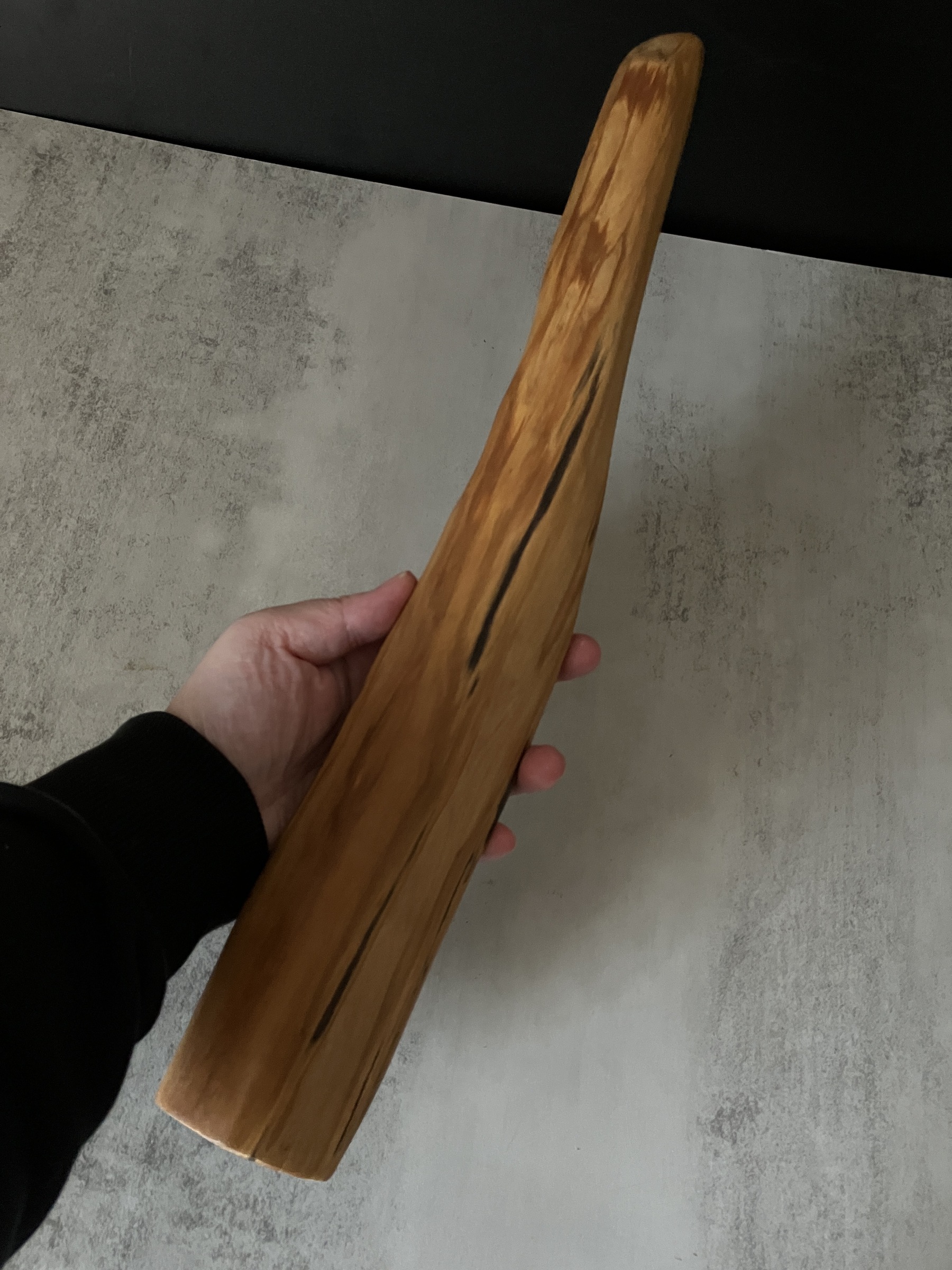 image_01F52486-91B1-49D7-A298-178C2FC9ADCB_1770796072