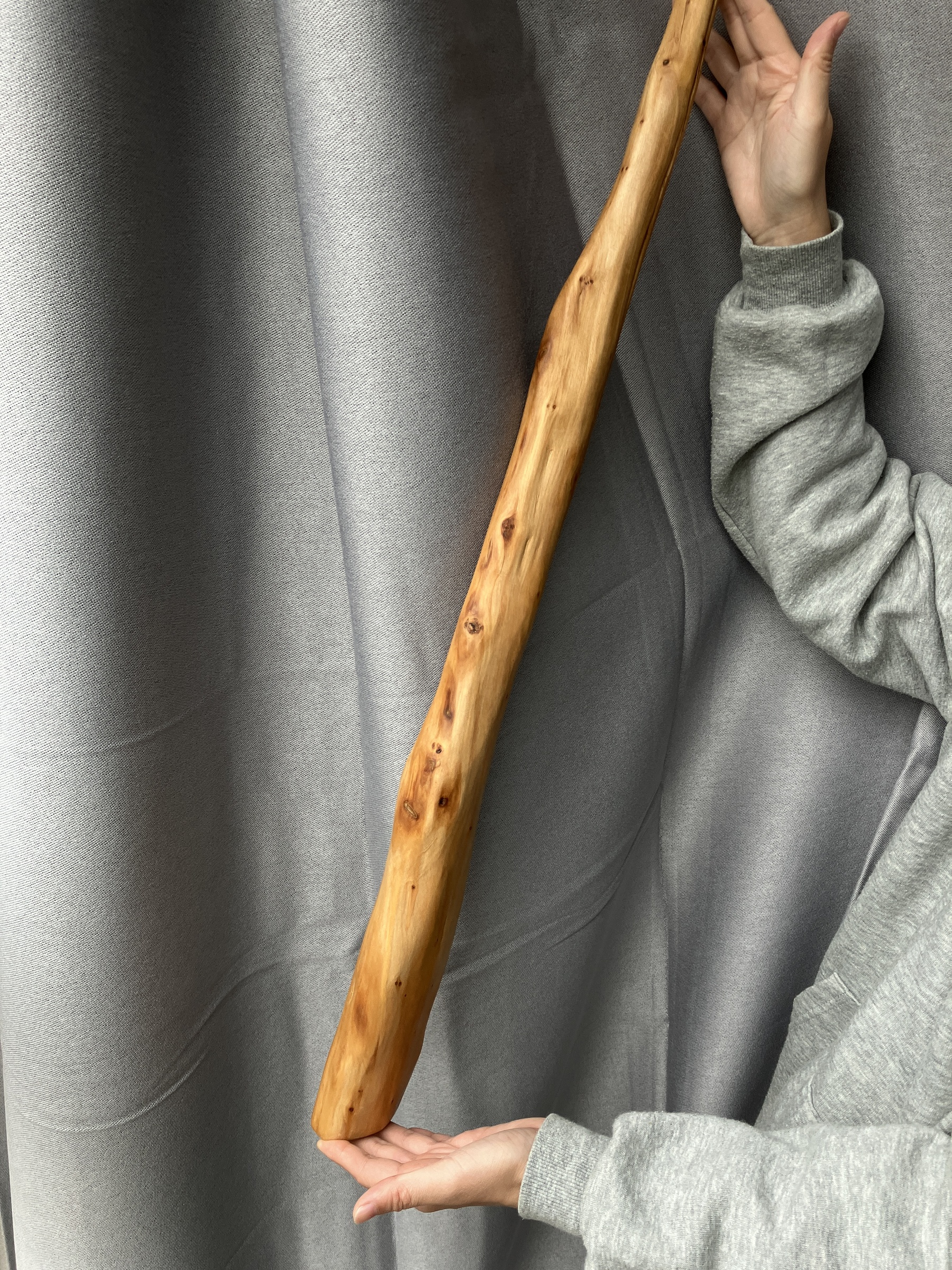 image_F75DCC5D-53E4-420A-BF95-973AADDAE7F7_1771827252