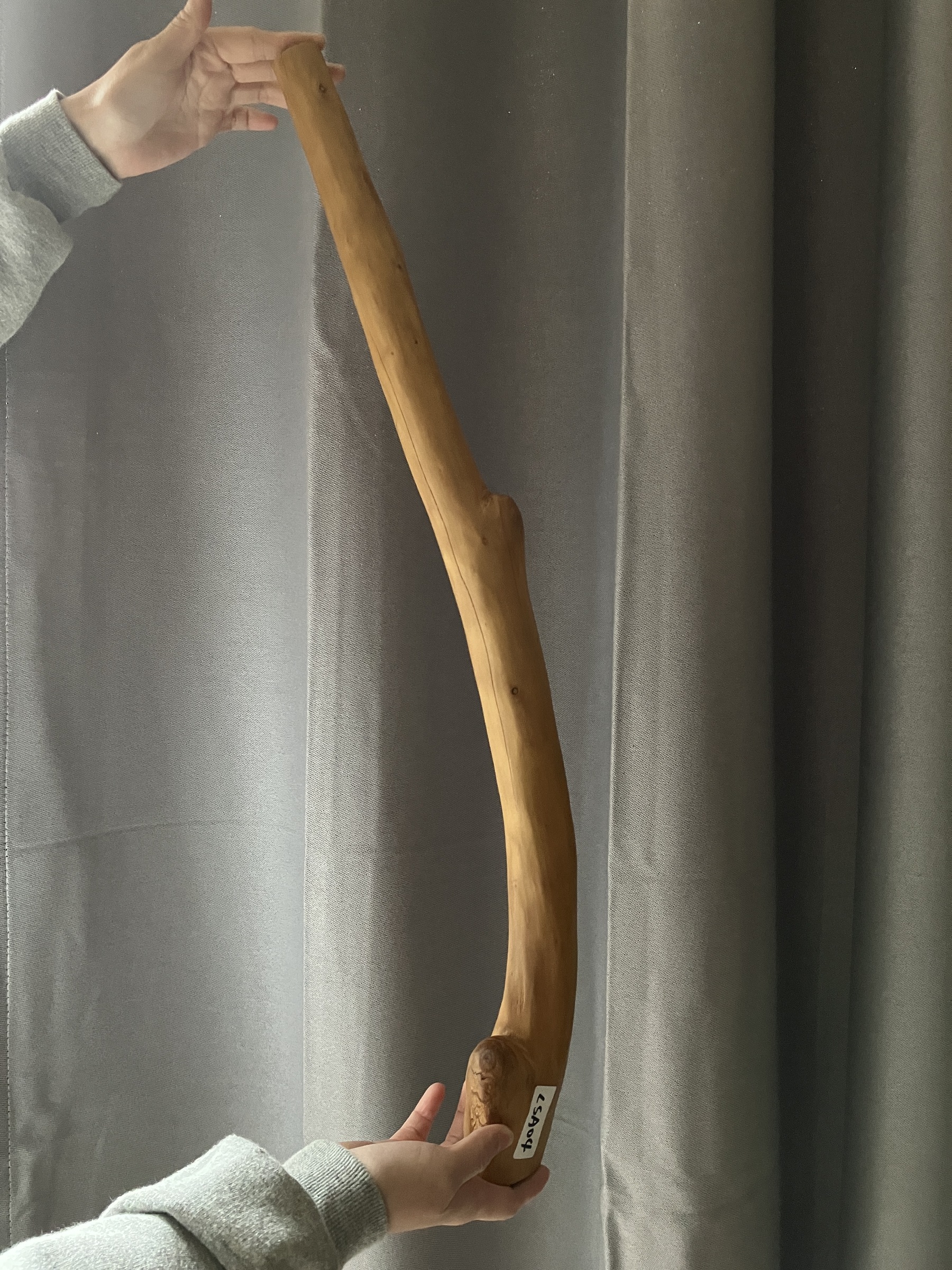 image_7102C032-E5E9-4722-B3CC-DB3ACC2400C1_1771827321