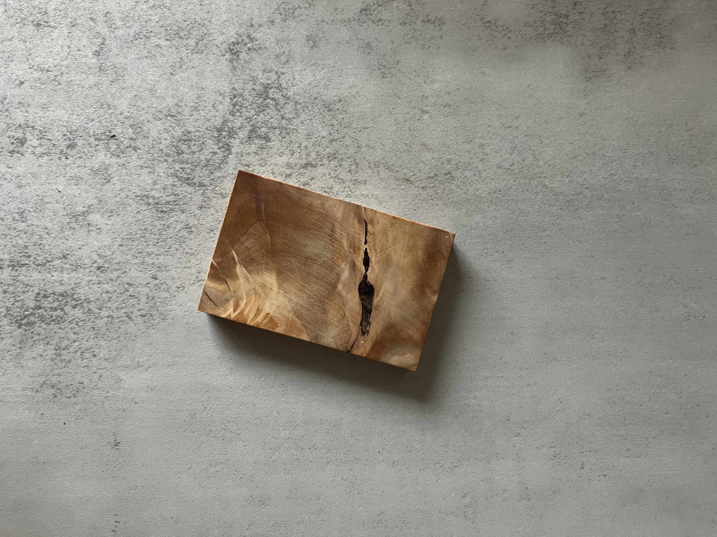 image_0922E54F-96D1-4AAB-A04E-D7E97E5D2008_1772088998