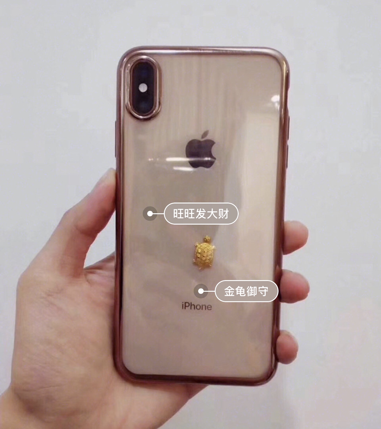 8FF8B009-EA61-49AD-868D-344EC5C7958F