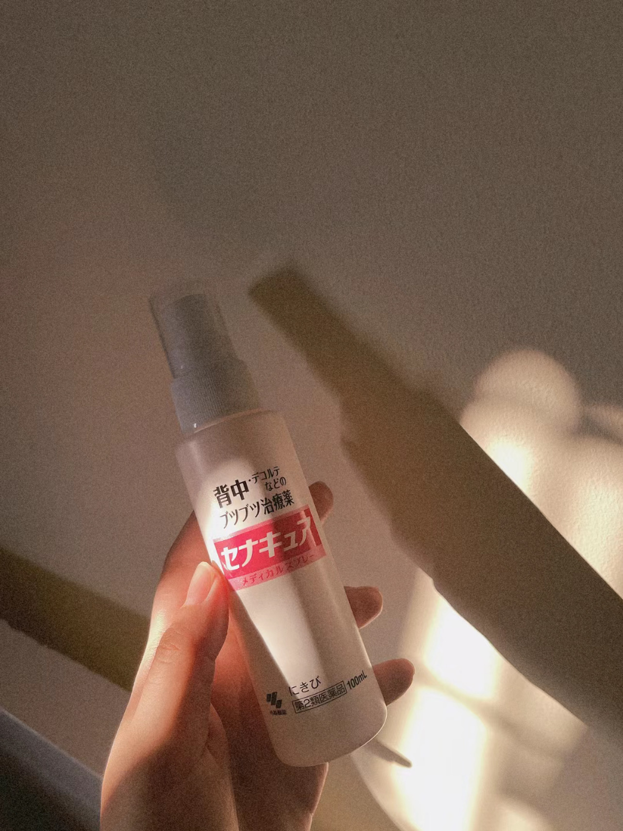 86660ACC-9834-4D3A-B580-755B7133D590