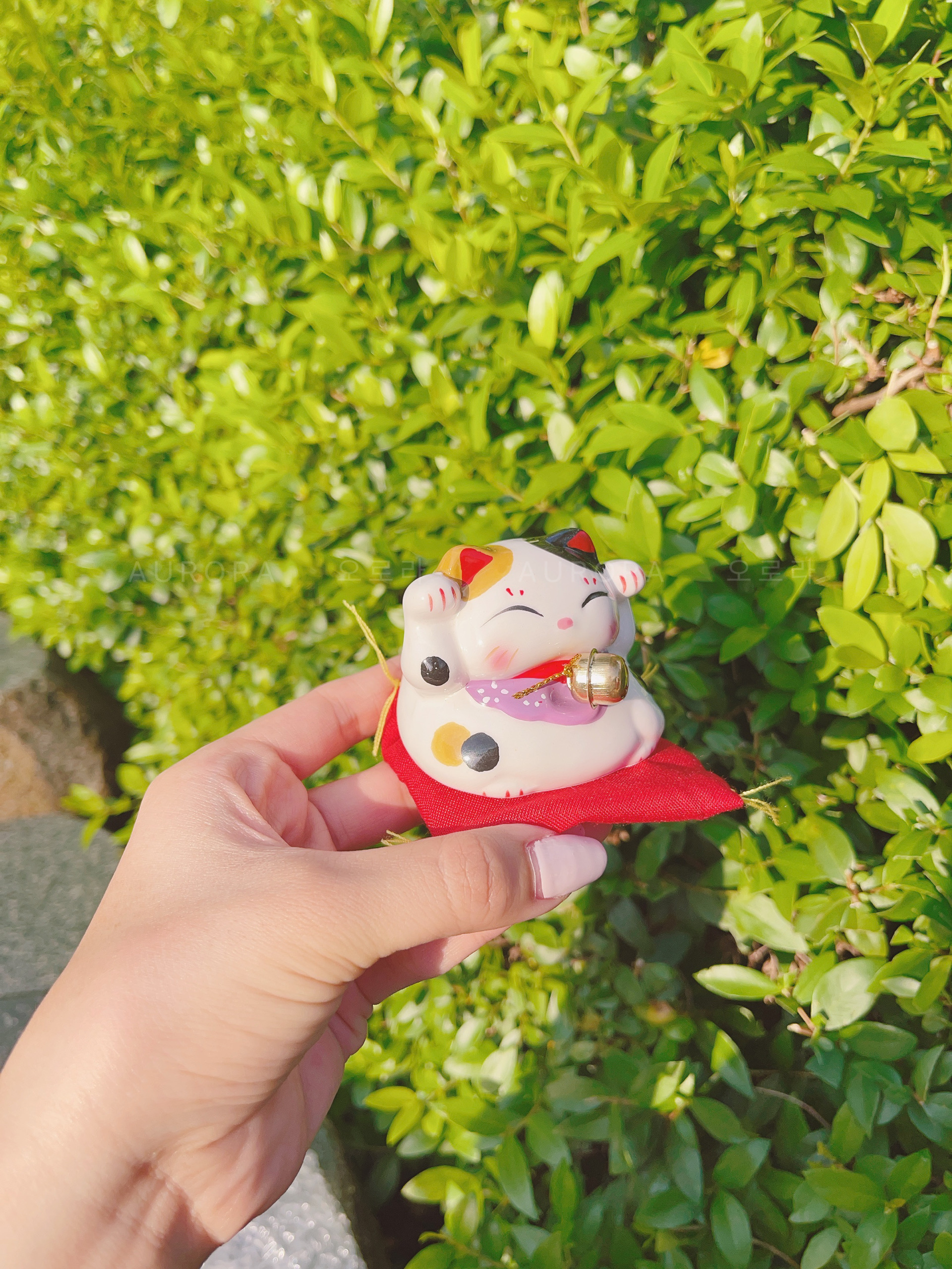 A2255A68-0628-4C16-B401-5FBD34C5DD2C