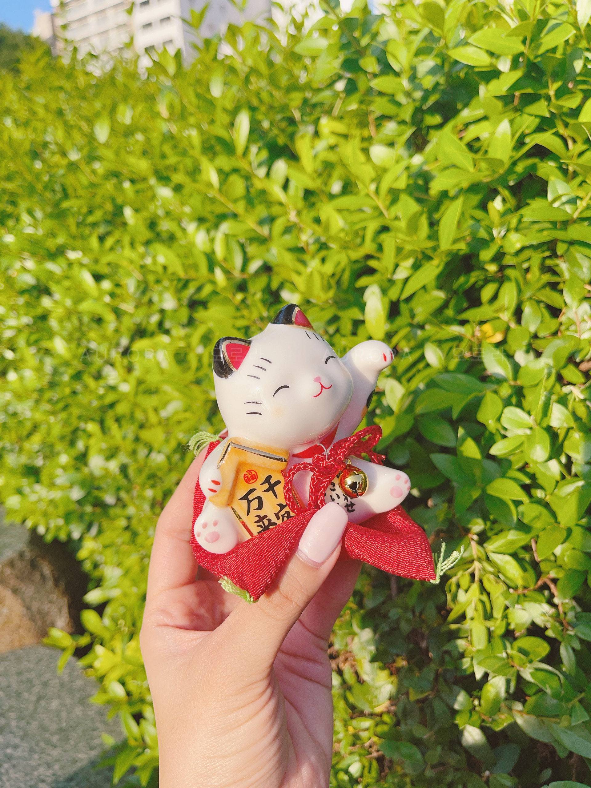 C1DC3D7F-9945-48B3-BB38-B98336BD1CFD