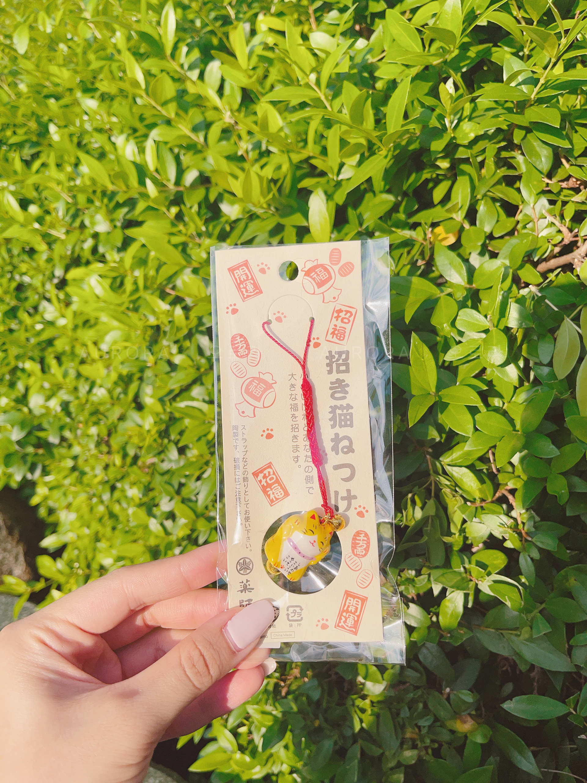 9786349B-5629-466C-958C-27034363E36E