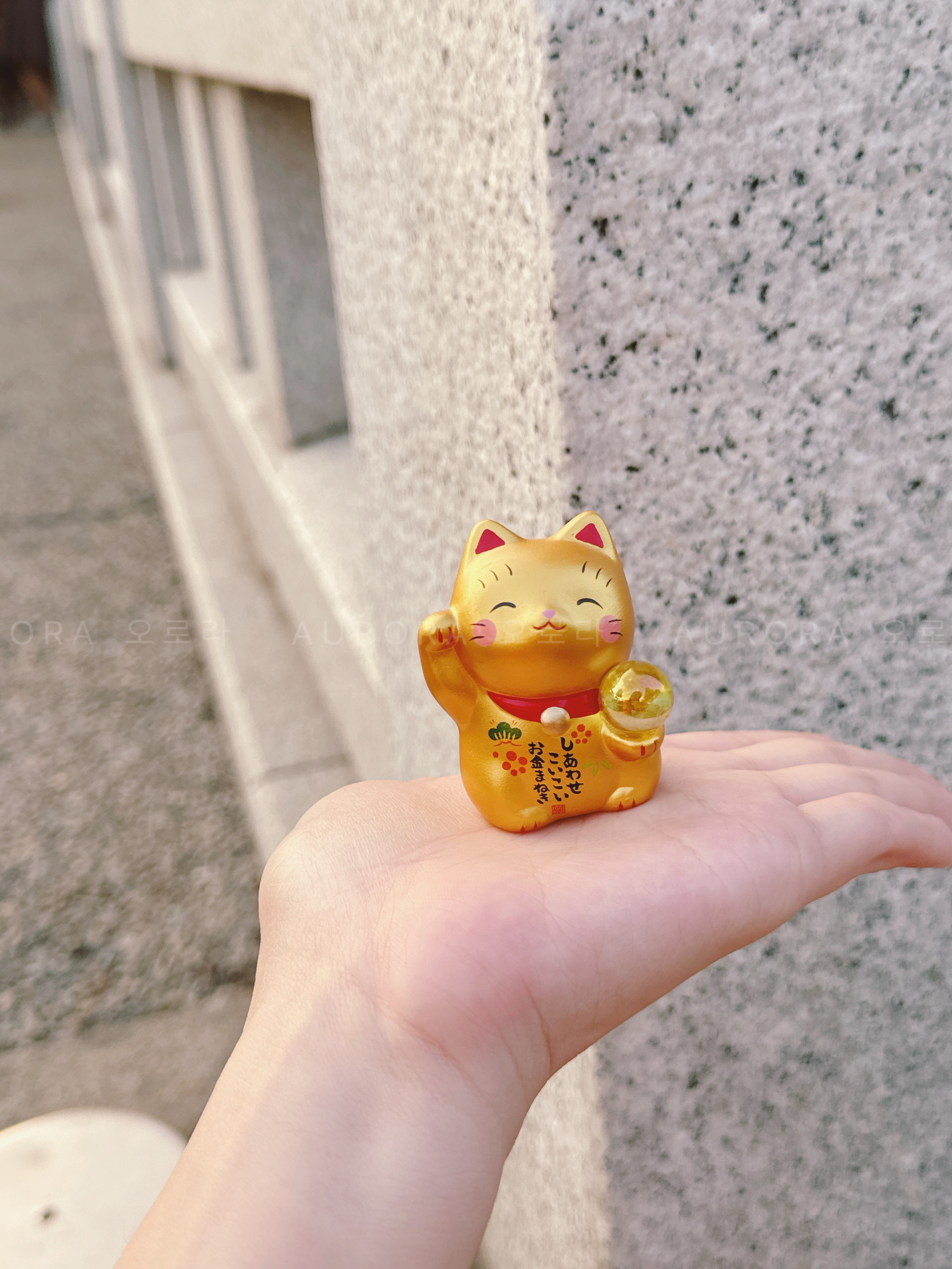 09b992e5f05103d113ee9274a3d19670