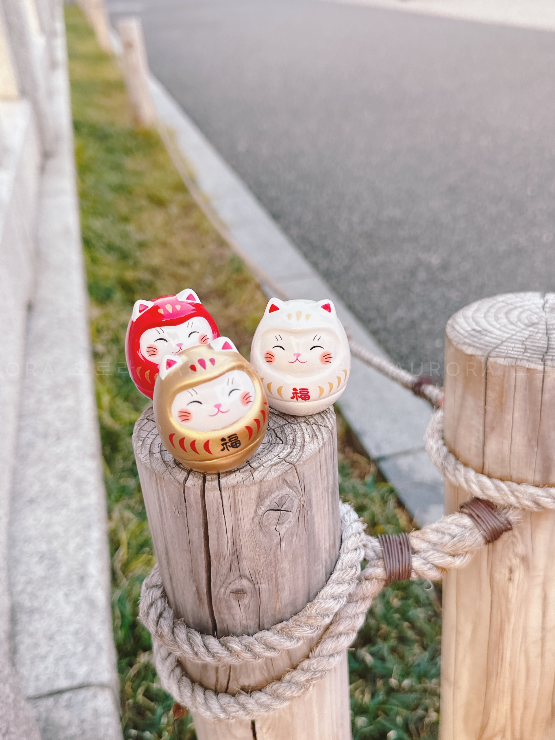 9a987c42040534ad353af857da579803