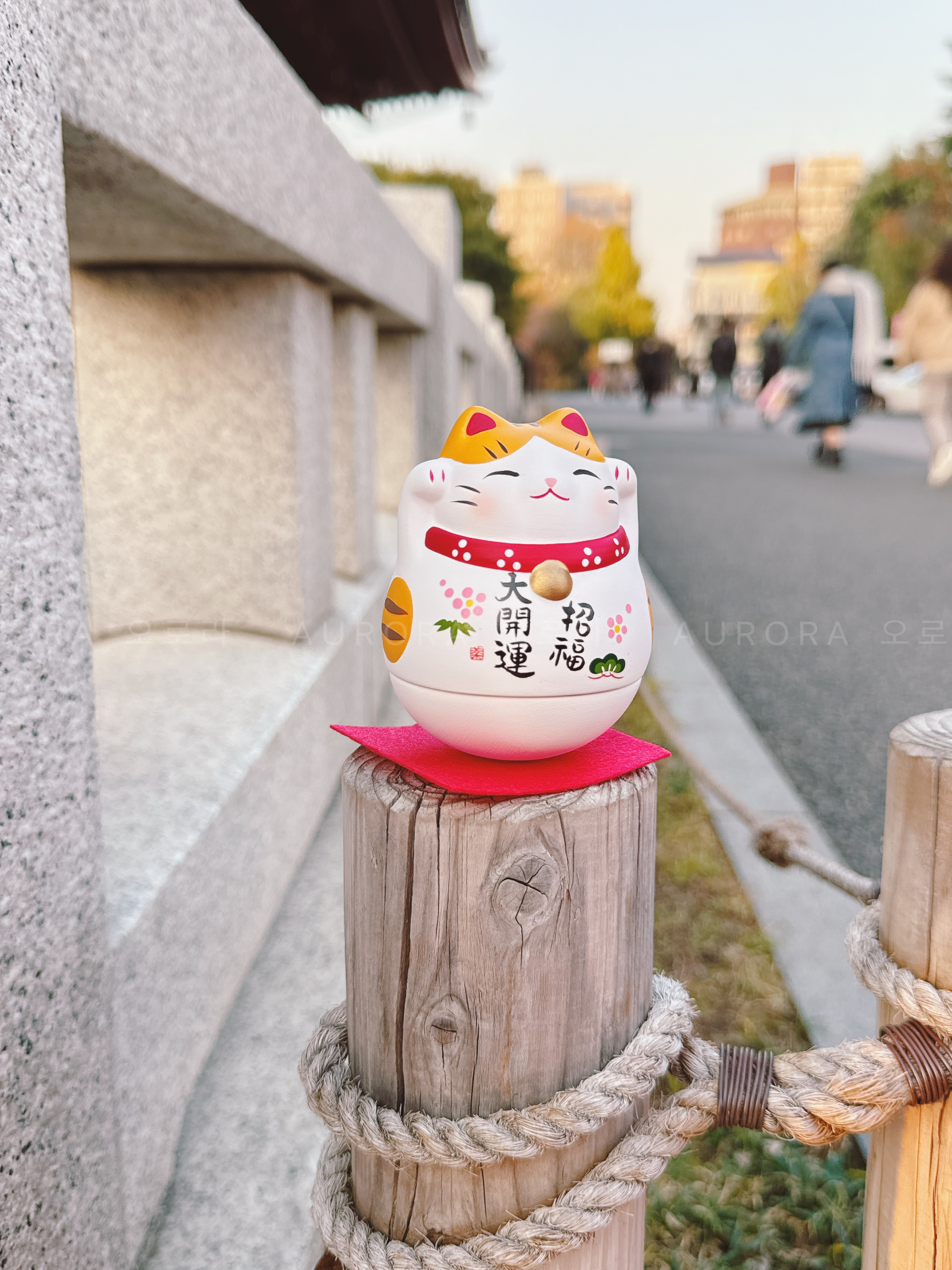 95d74ffeb9693b5845065f2b5b01c509