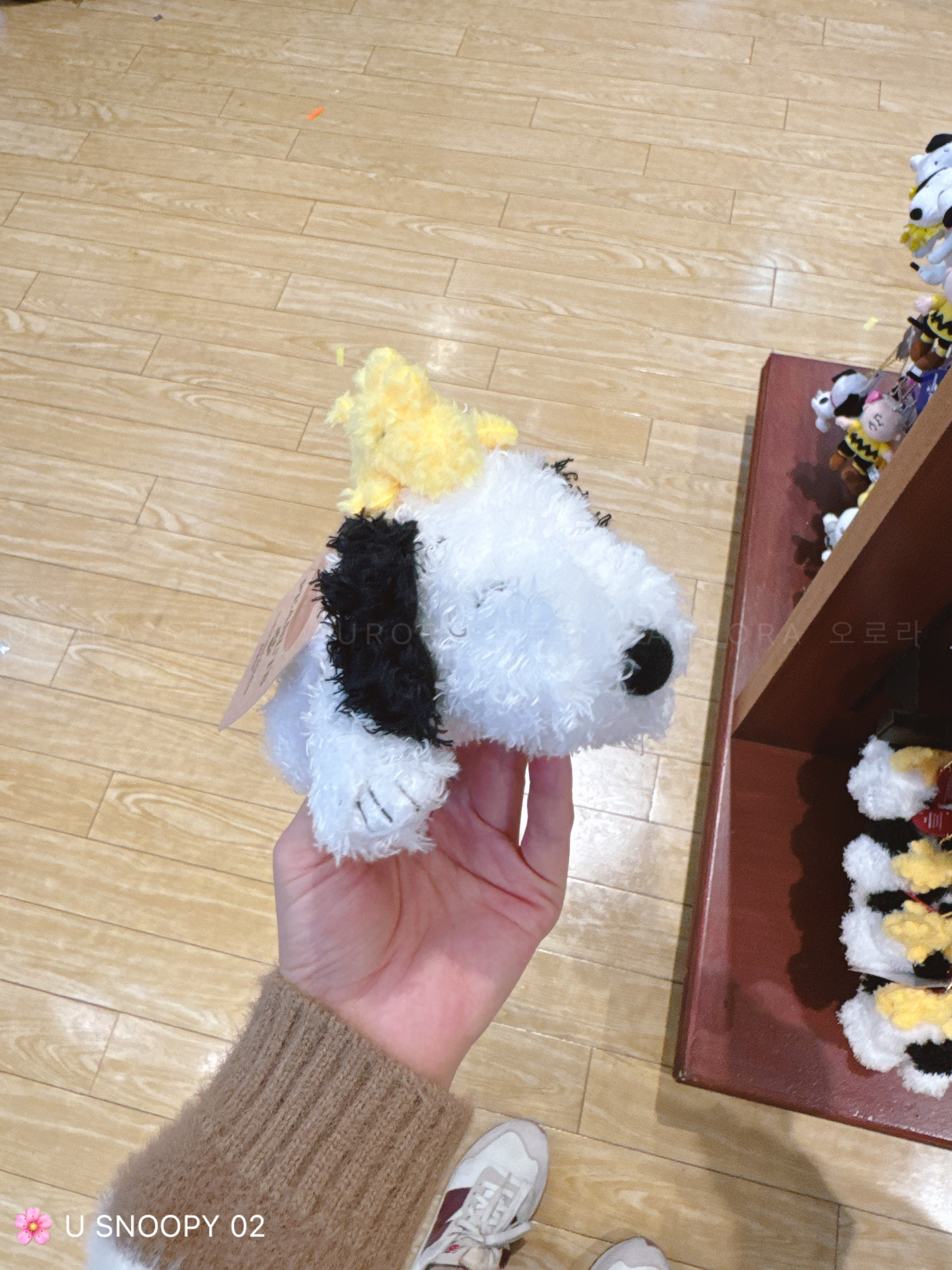 cf20f8dfd6f4e720c5fa721e8a378f21