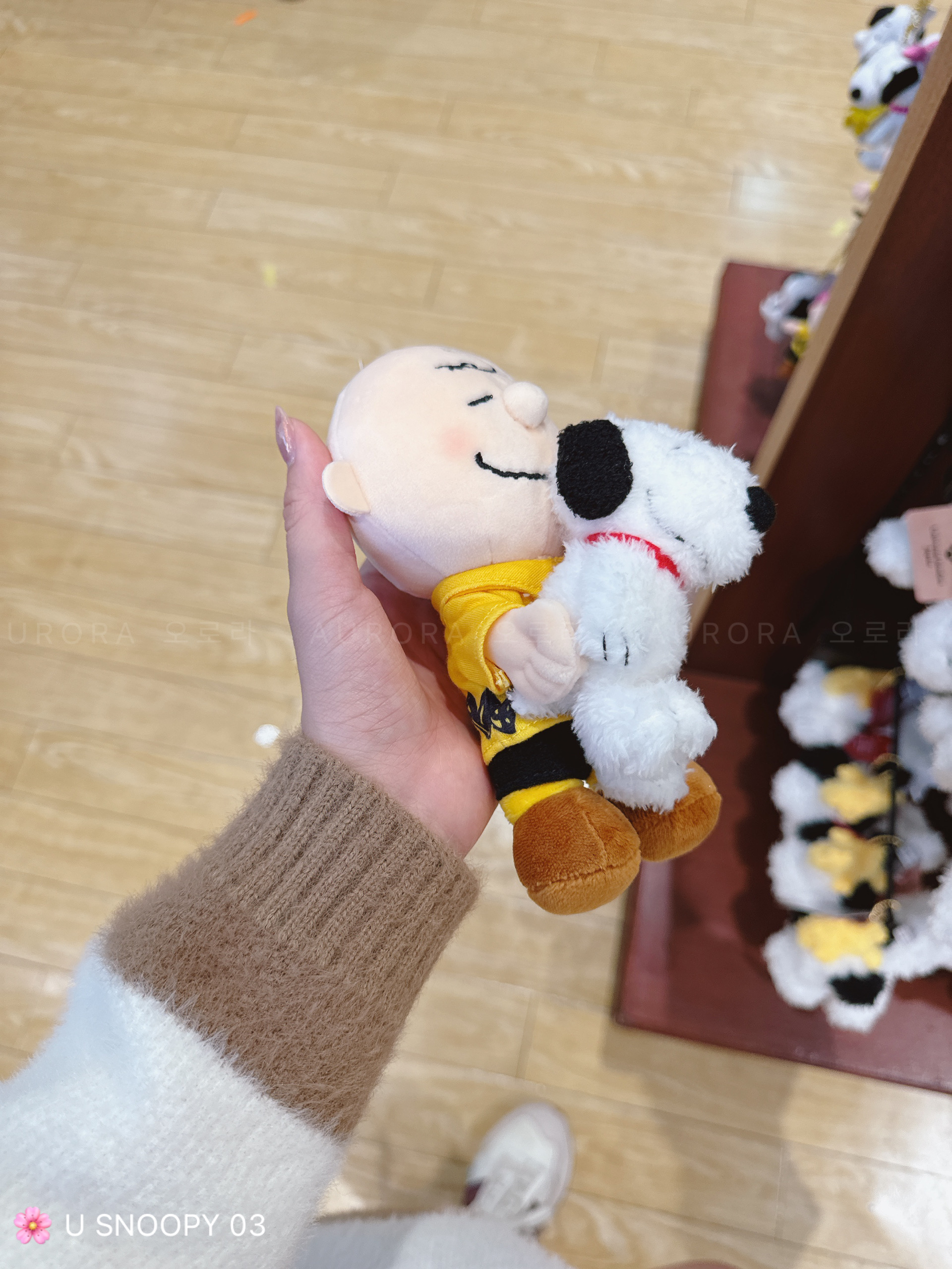 d842913a1fcd35cfaa8ccd7ba1b35b9c