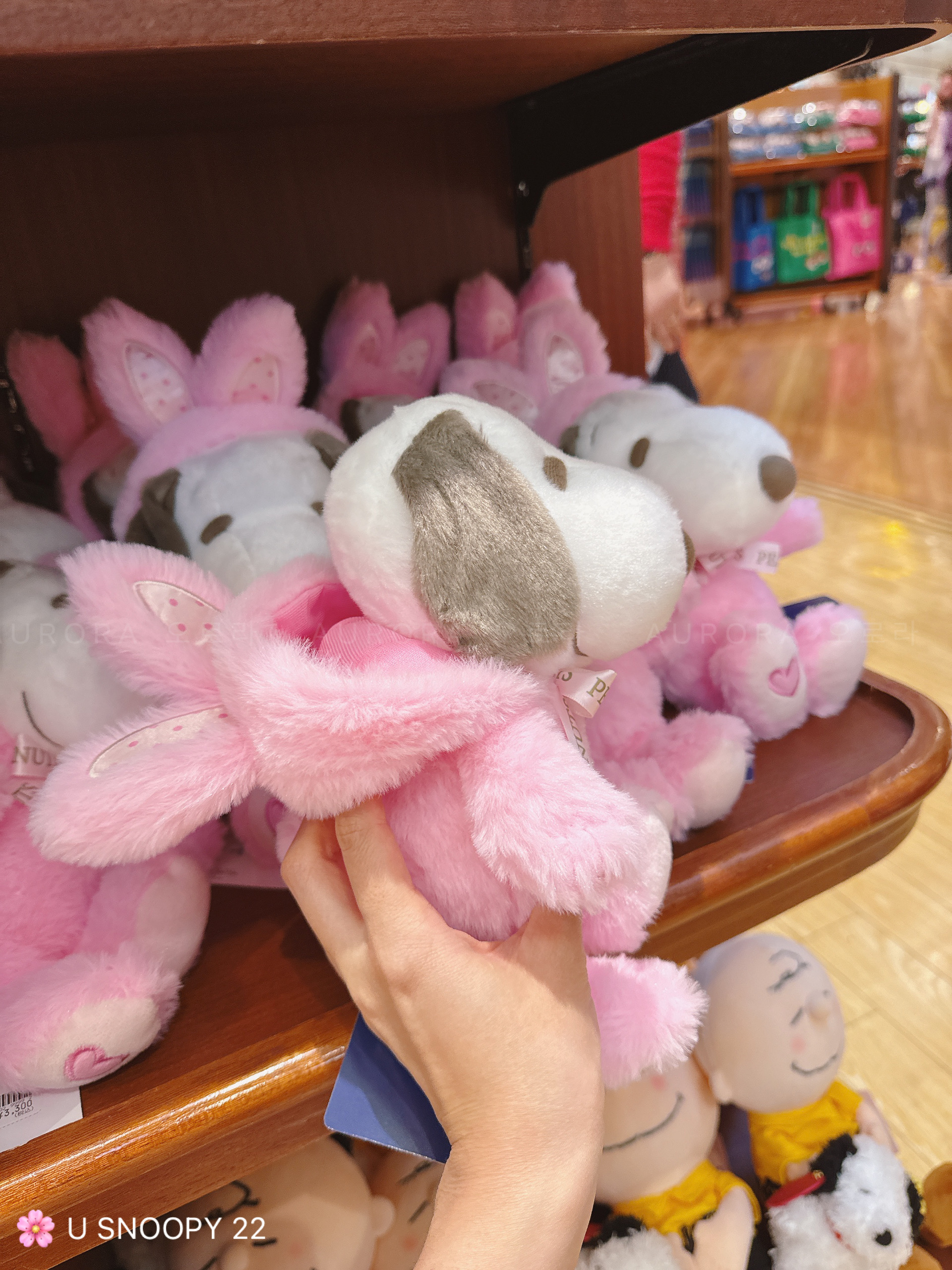 88f62f1c218a446f7d9bbbf7feb814b5