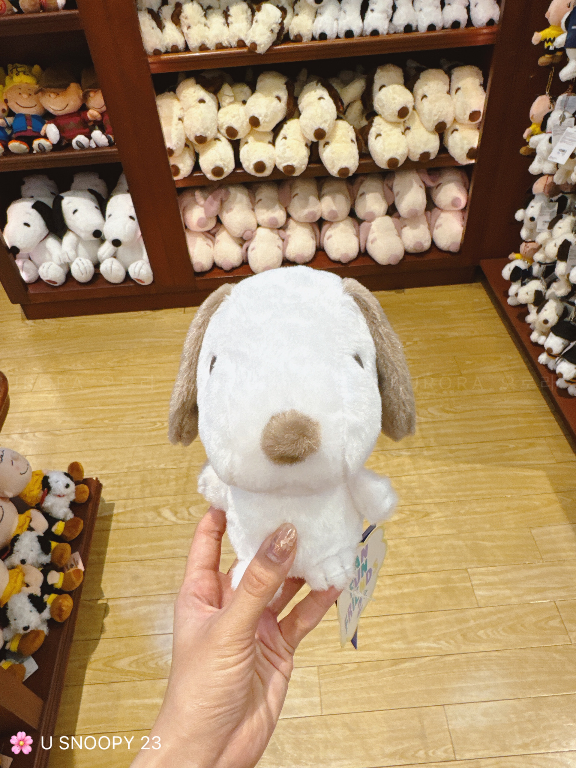 fc91e390c7956b6b75187fe0c9a87bc9