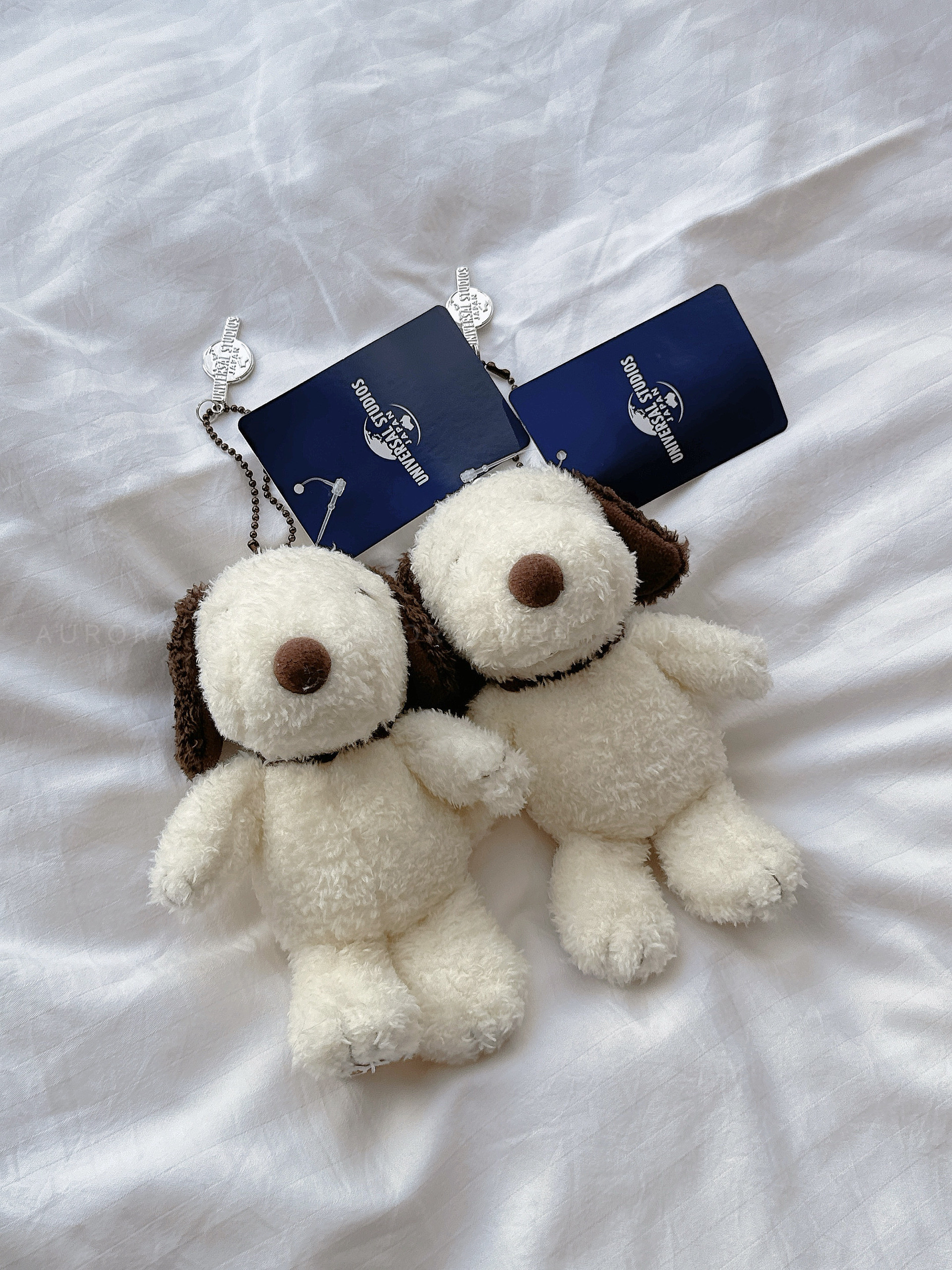 5a5e1073b9e31a923669f52c9107665e