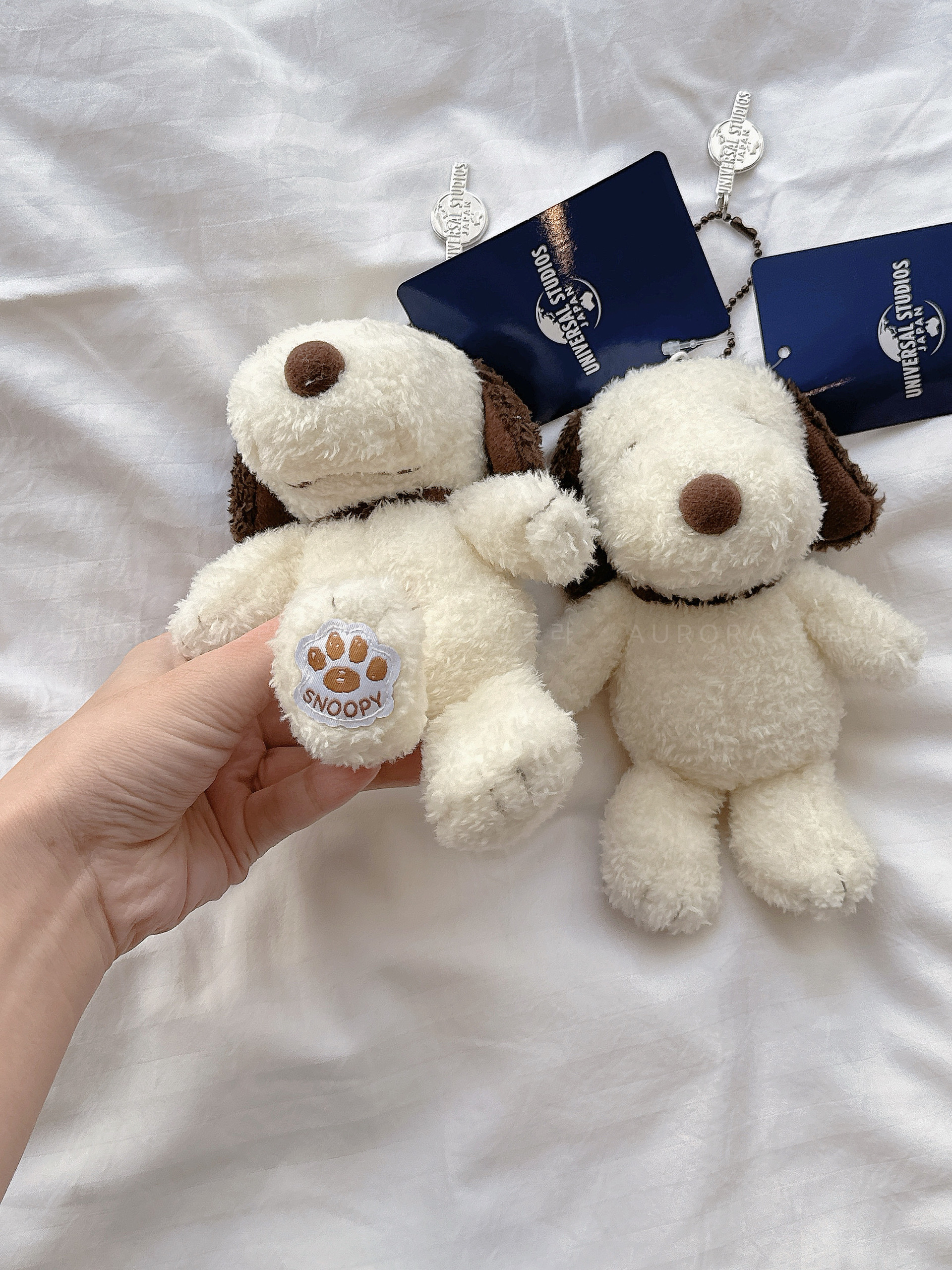 8f9f7e3187bf8500305ffaf5ce365051