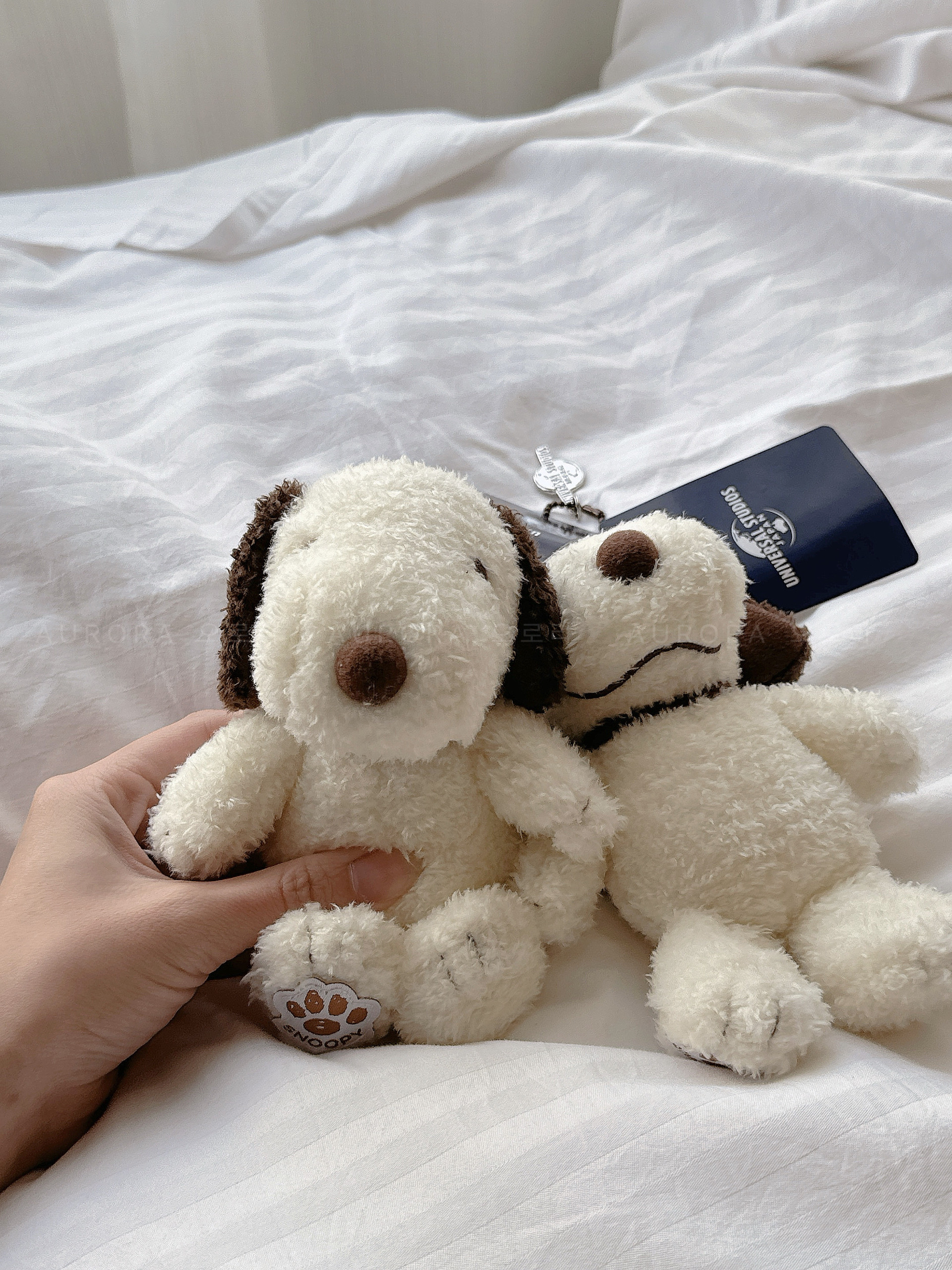 8f57ff567fe6b05e07a6b7f7e56afd6c