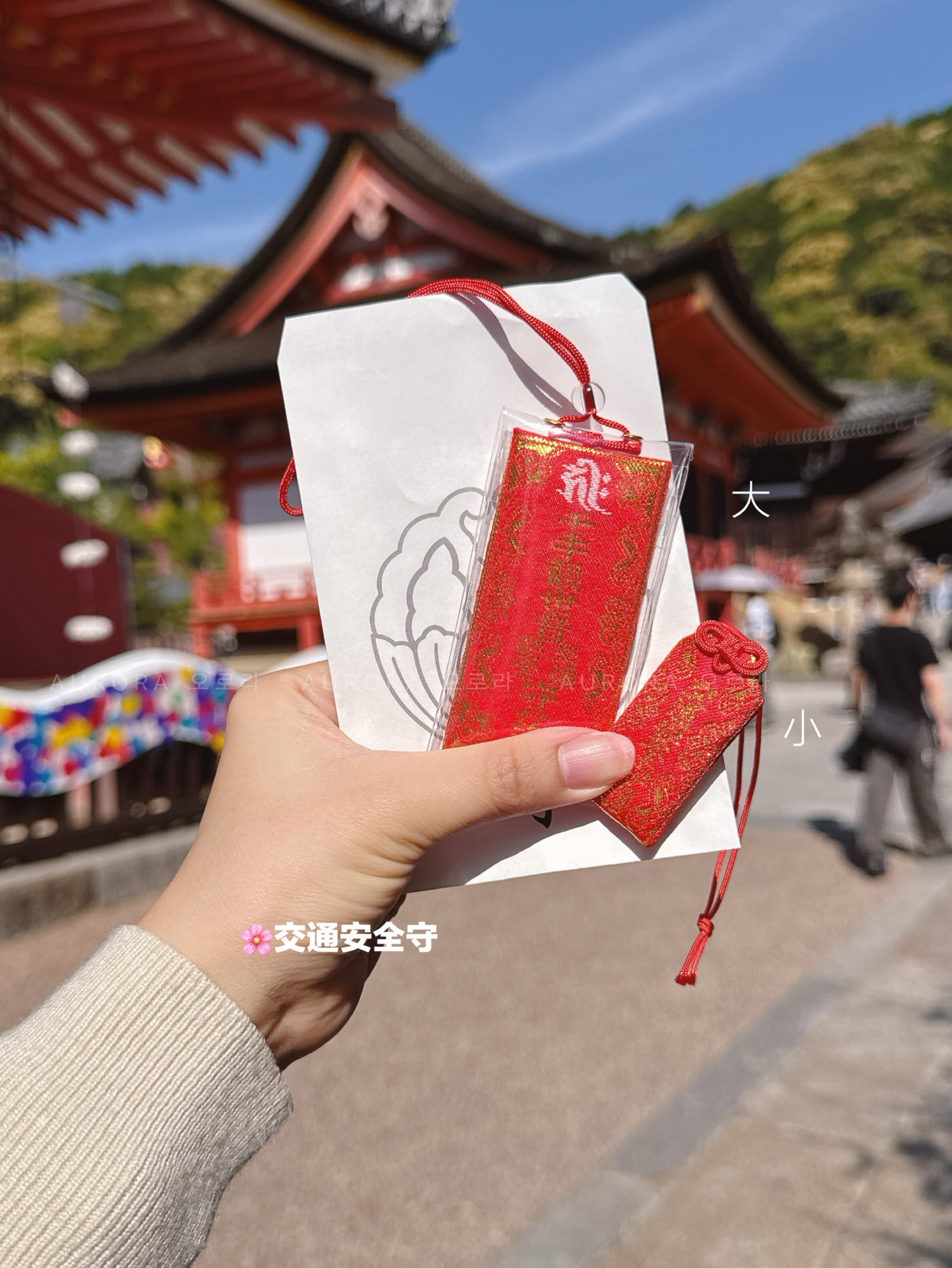 d80379e7fa27ba20b03414f579cccf9b