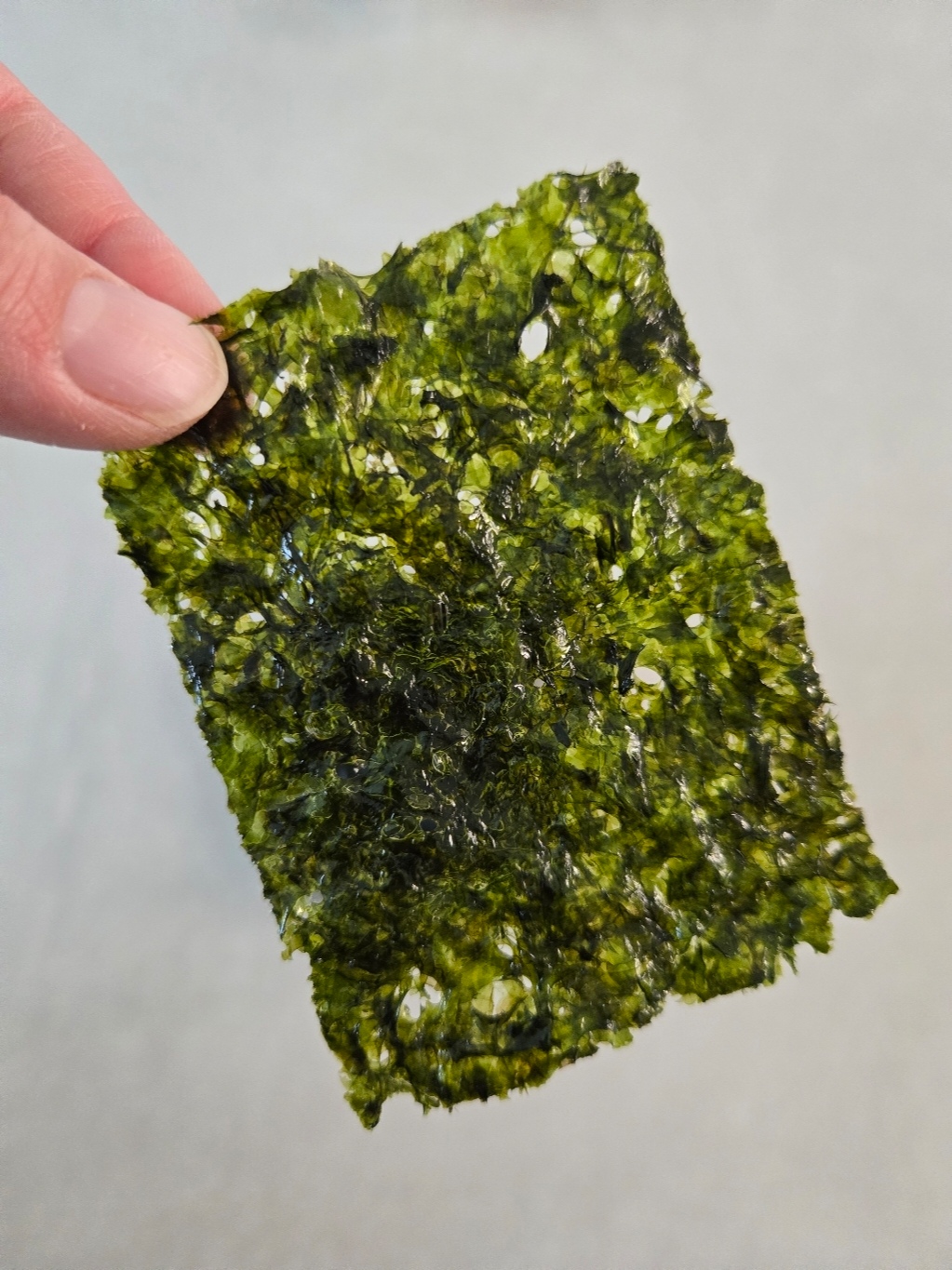 c1188baca6f47a80f23bfacf0ff68de1