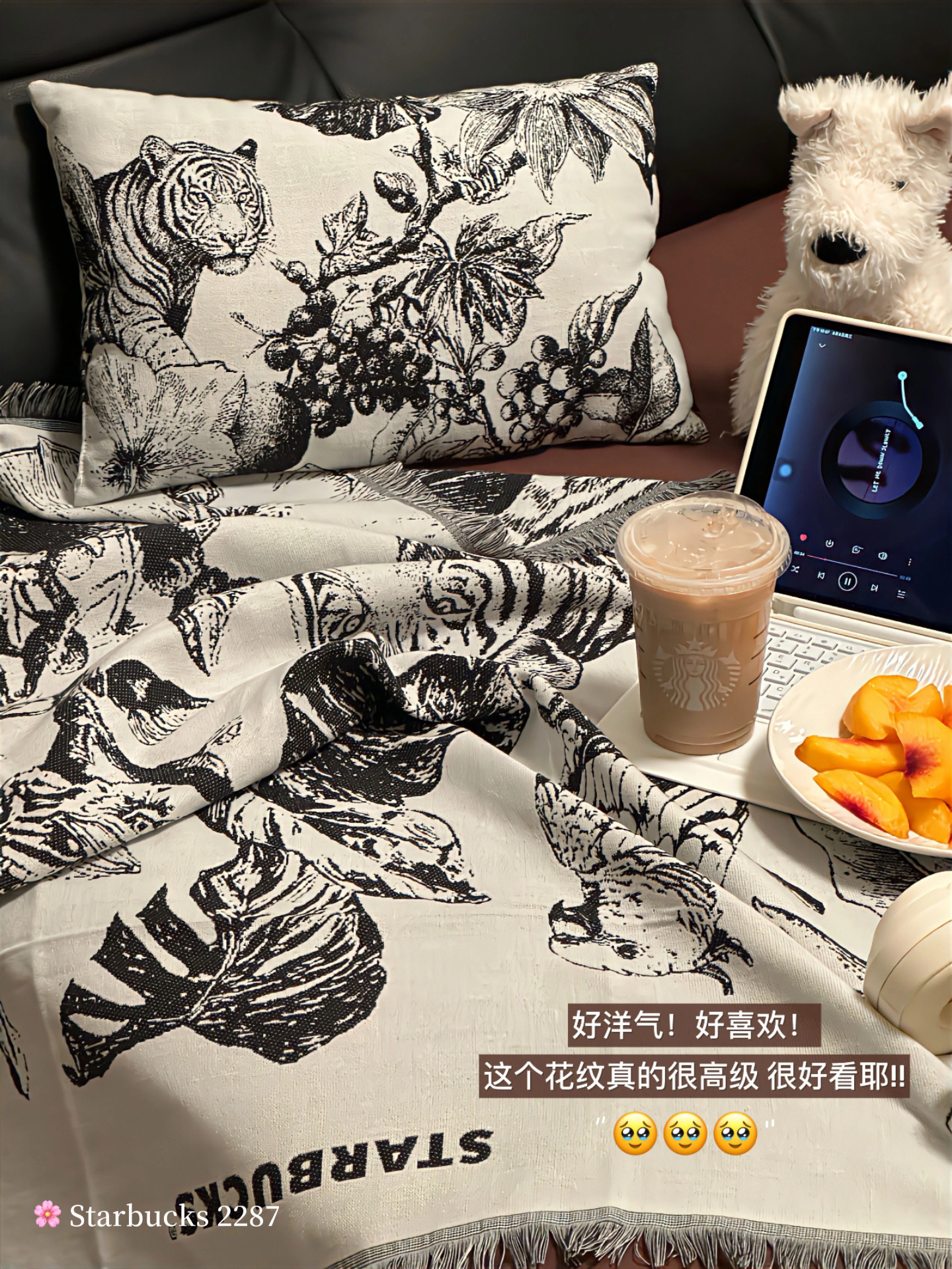 60b77194a385afbefa4b53c85c656d0e