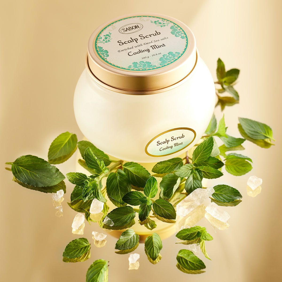 6d1564dd2b091167d1783332be2d4503