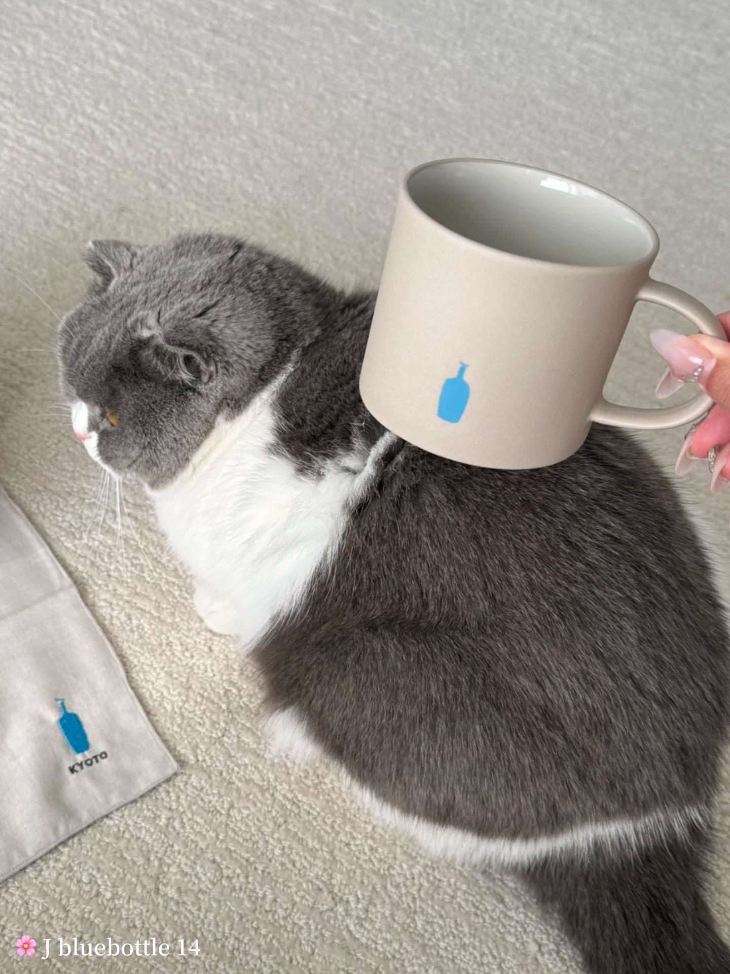 ed3f1f2c0553dbaa66b7cfa4662ea327