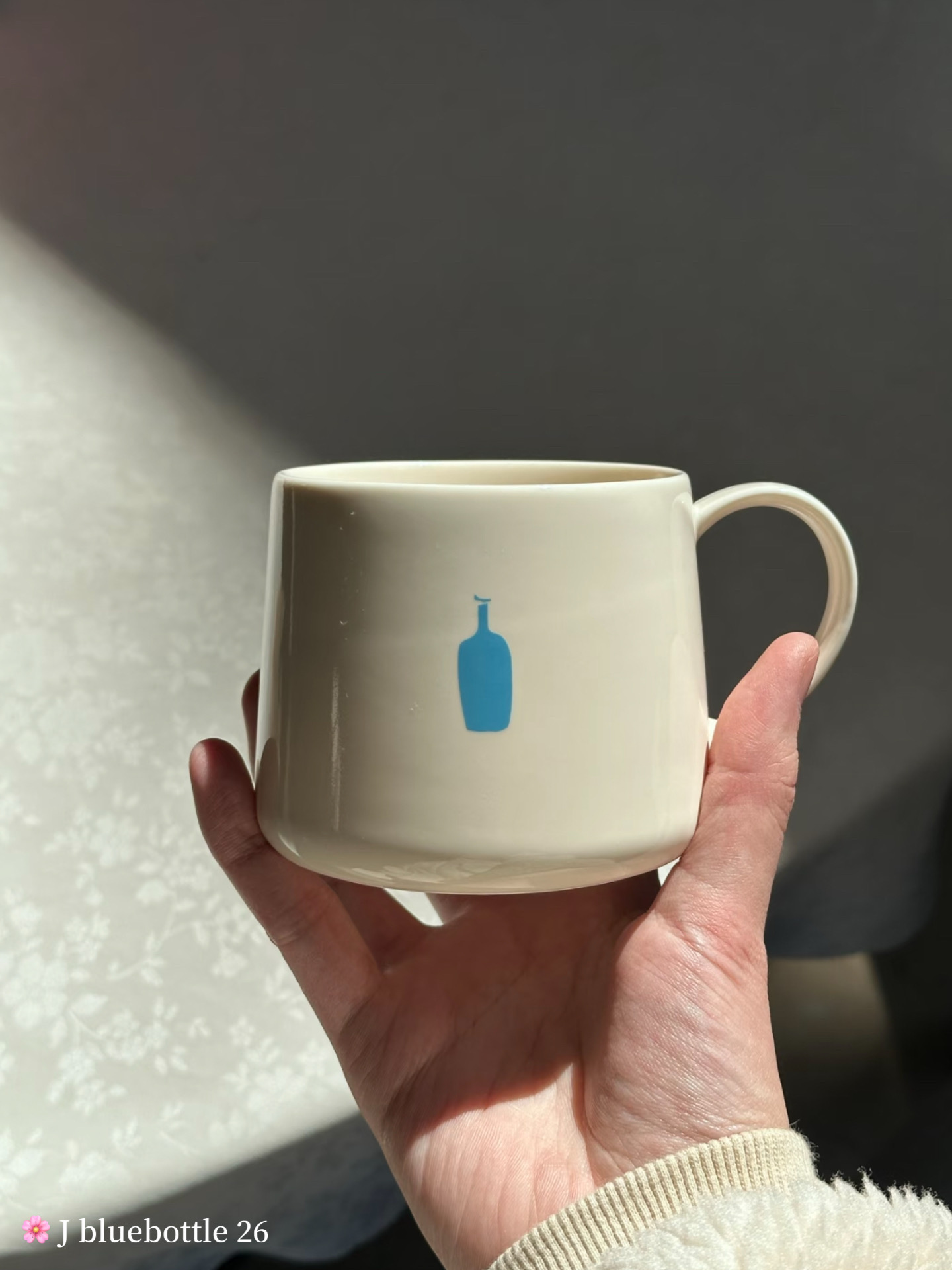 ab15d31419e0035c41d4418719cf86cb