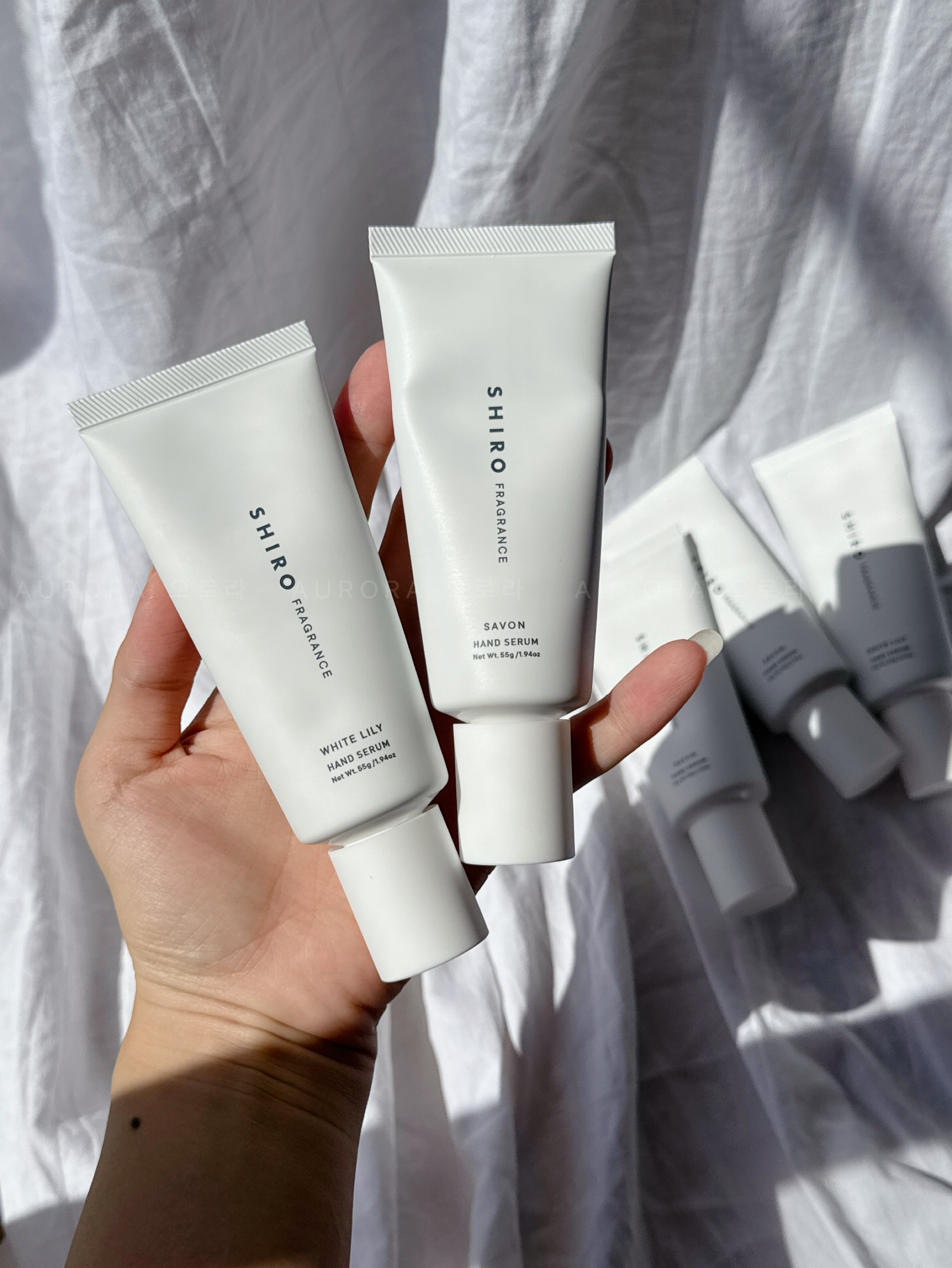 b1be7dae6d9ca2e63d574f051ff1550c