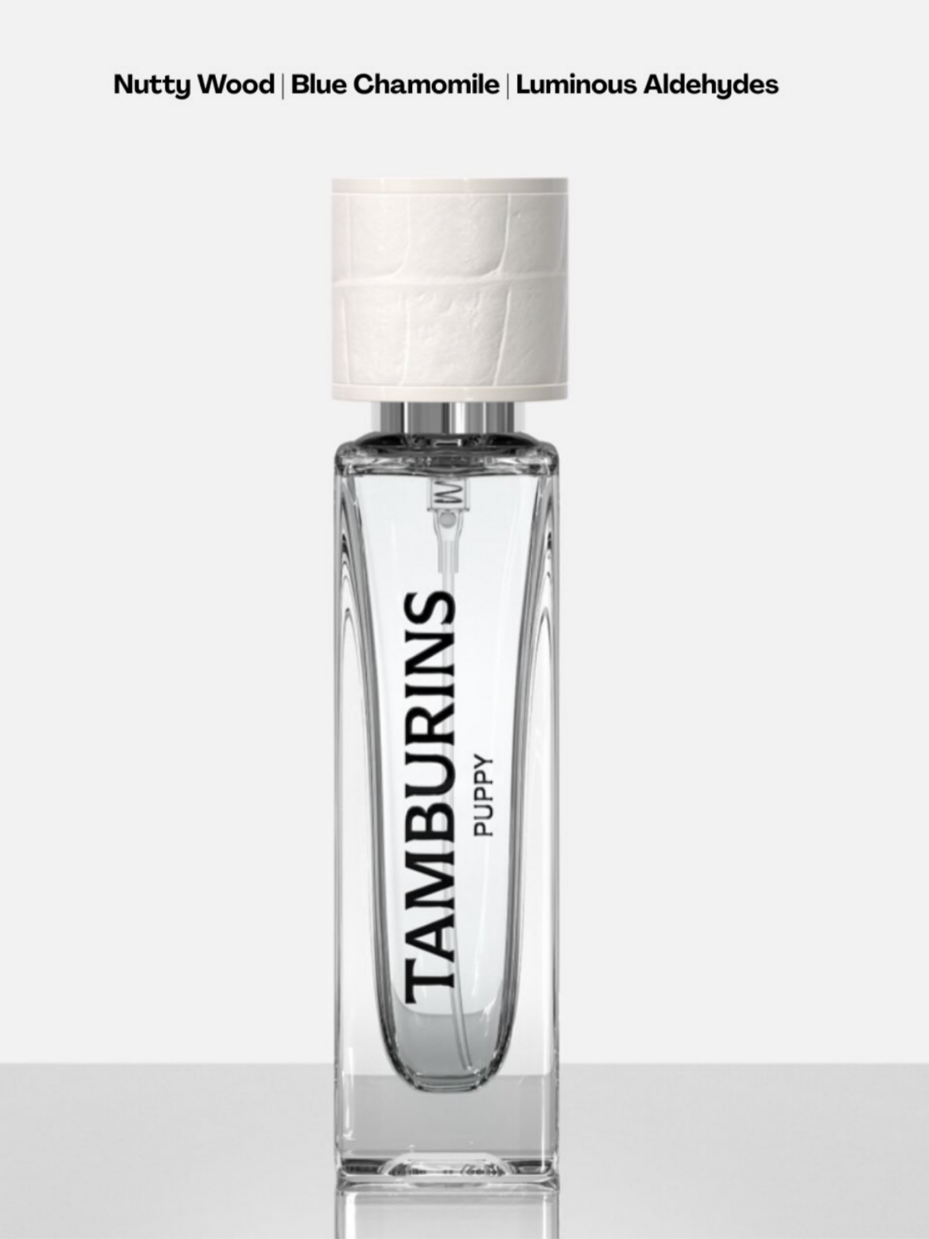 64dffec5ee944528f23c337028d40e82