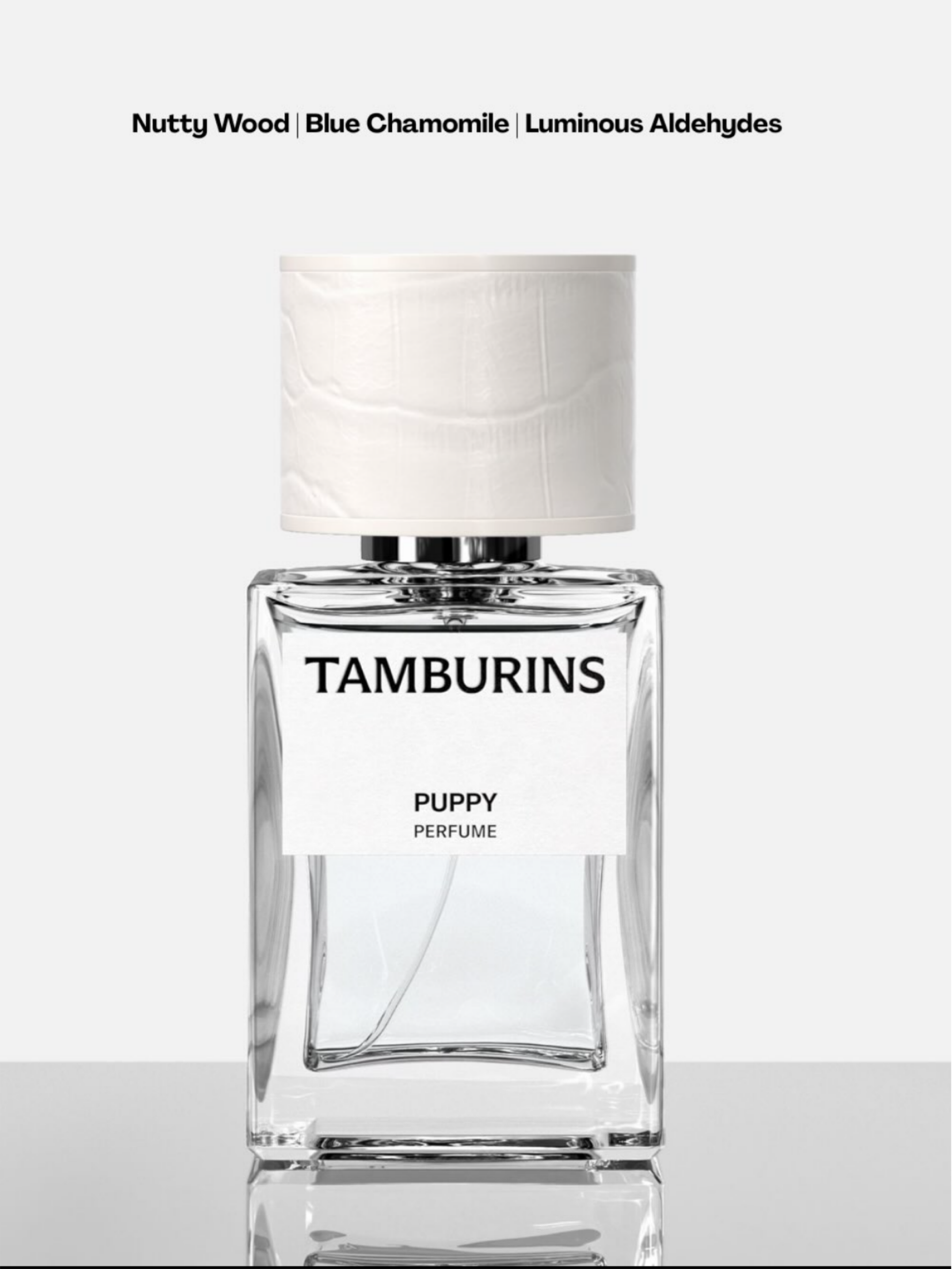 396ce56524e5301a08fc5a821c0306a3