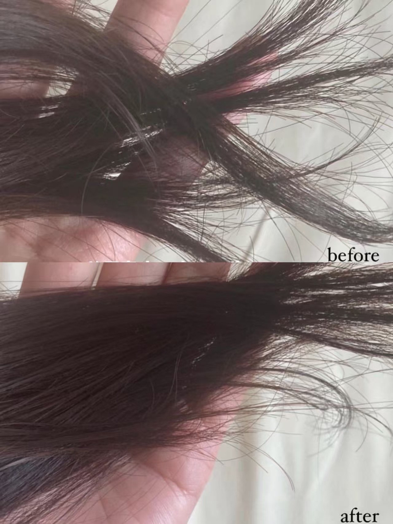 7b48475883a65a266089ba33e4388960