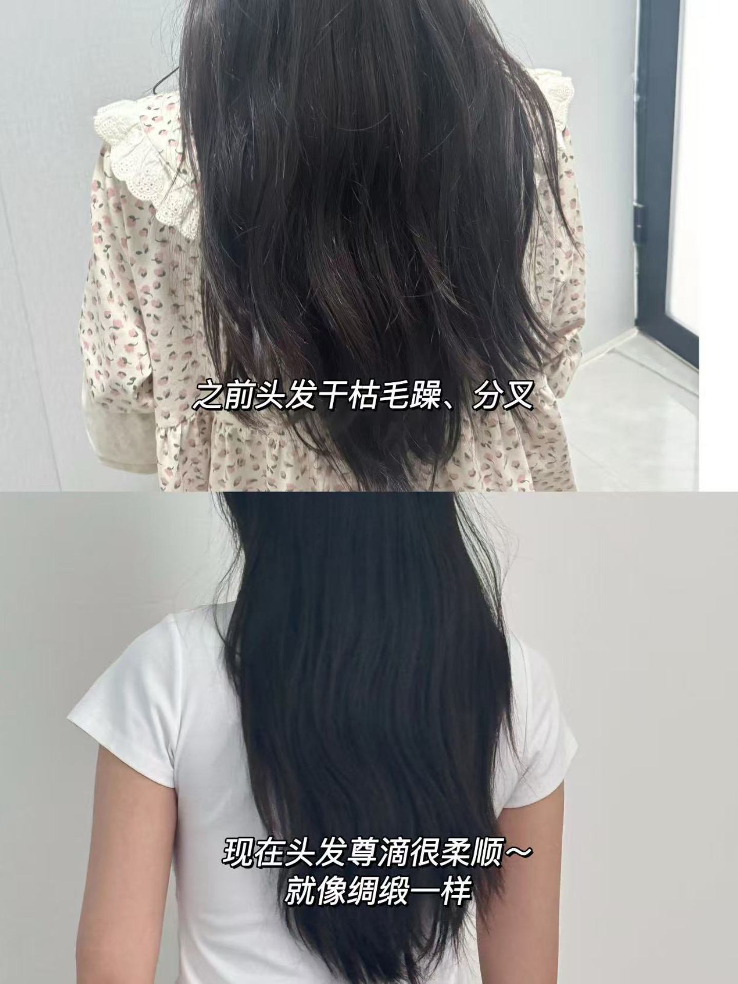 a6687a675f2e2a9c80f16de56159e20e