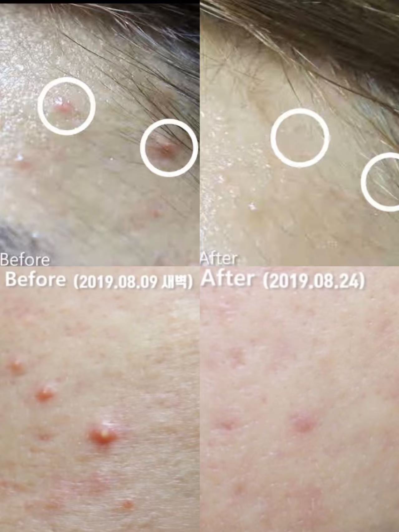 ffe36e01b25389a4262a82d9059c1b03