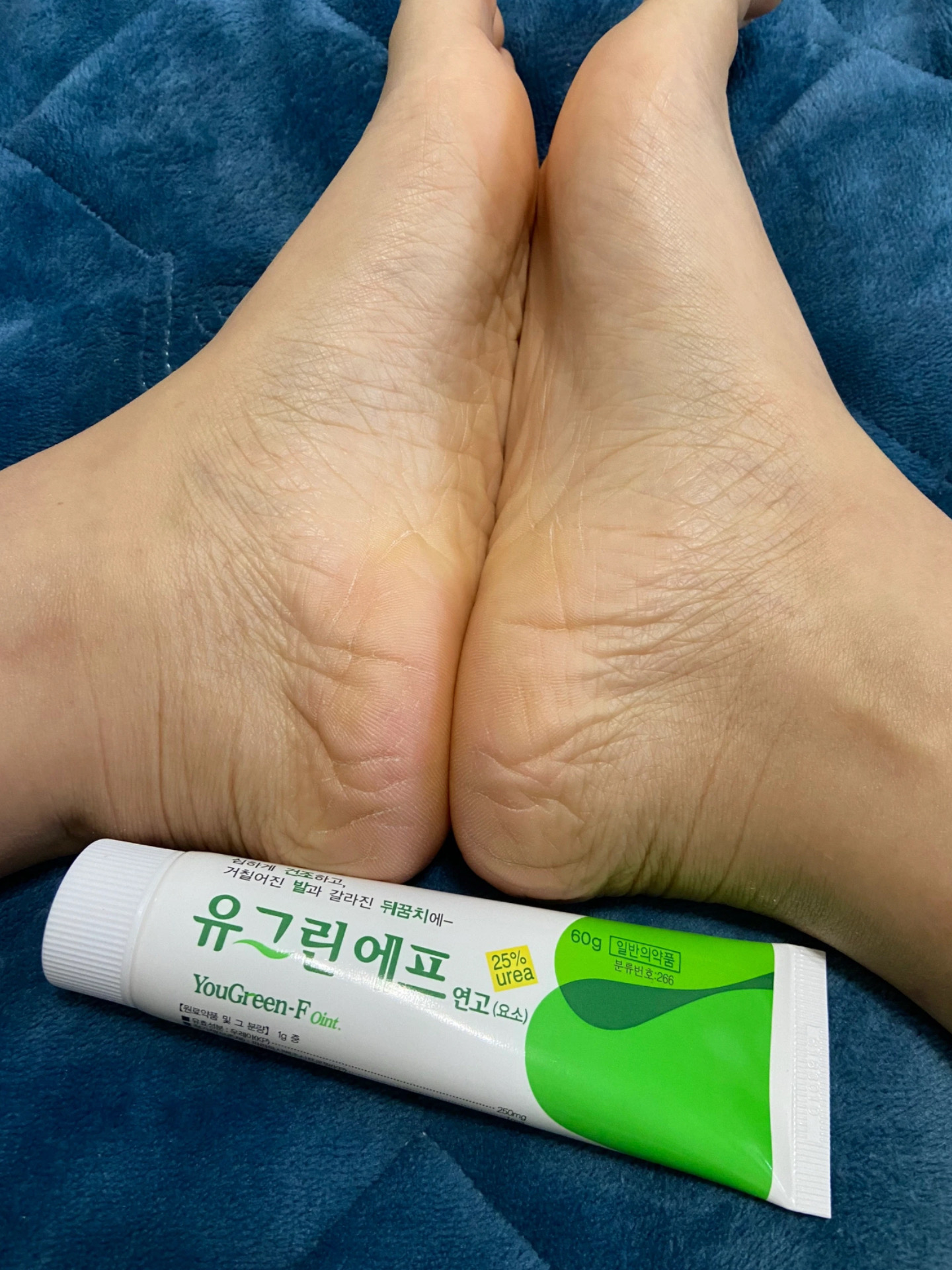 a5f3e7c4c5a8a0fbd5e067a73a862a17