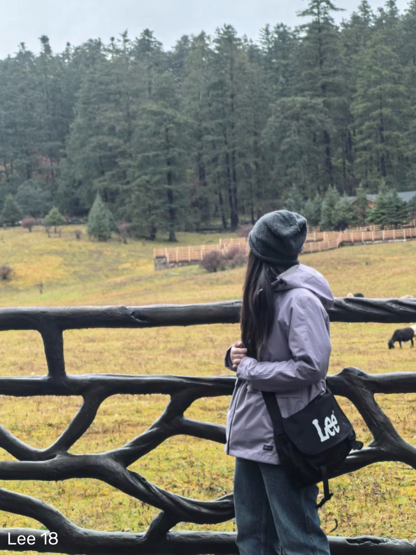 5d12ce5c74d18e4de9fd3b4ce0e02387