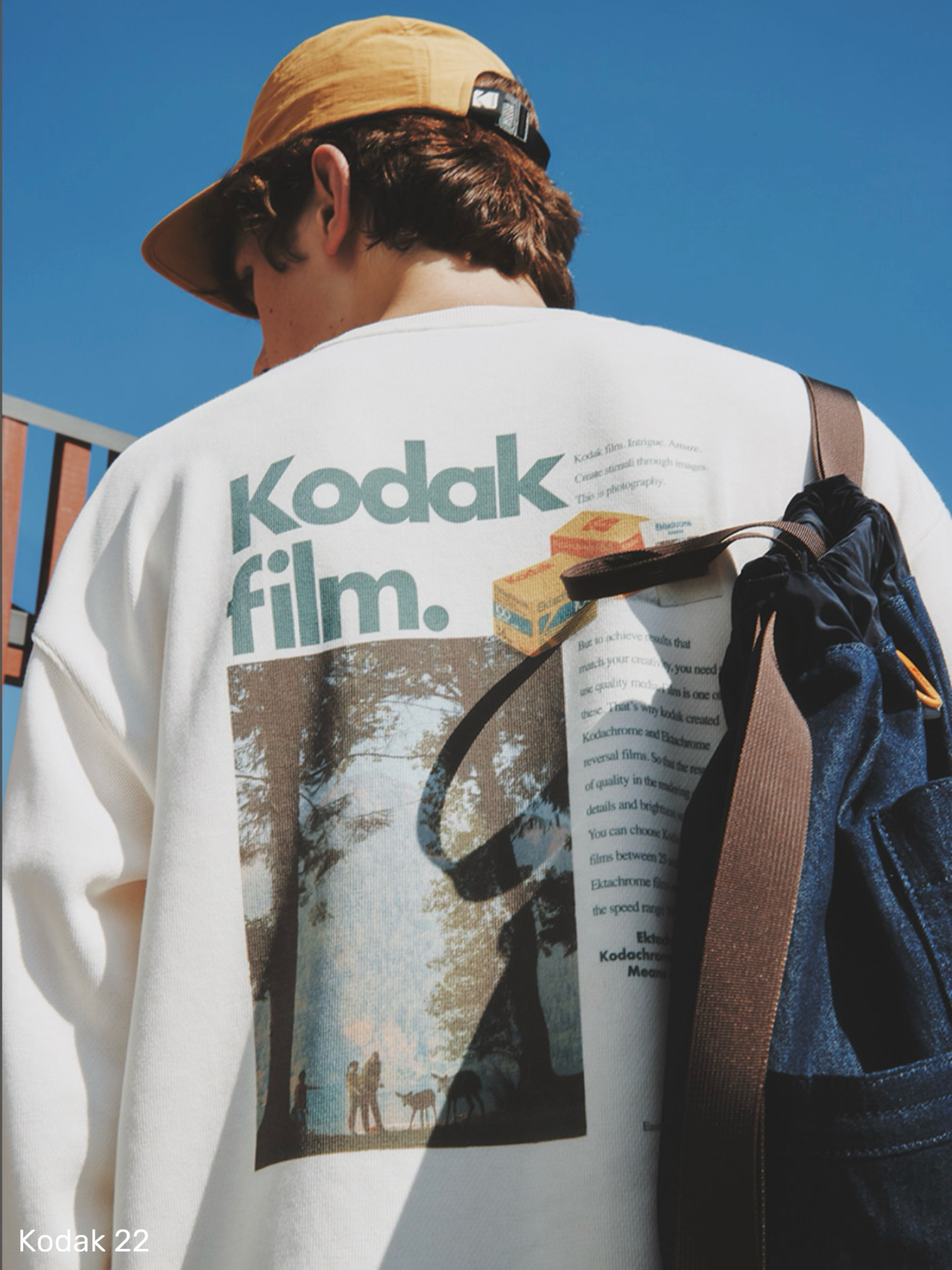 7e60ca4e299bd983d923df5b656494ae