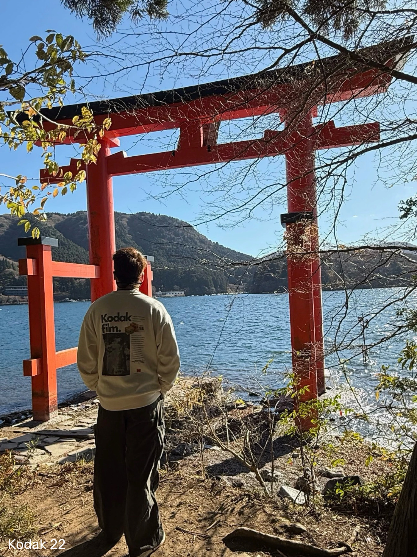 26d37943fe316c9cfb2d64bd473c60ee