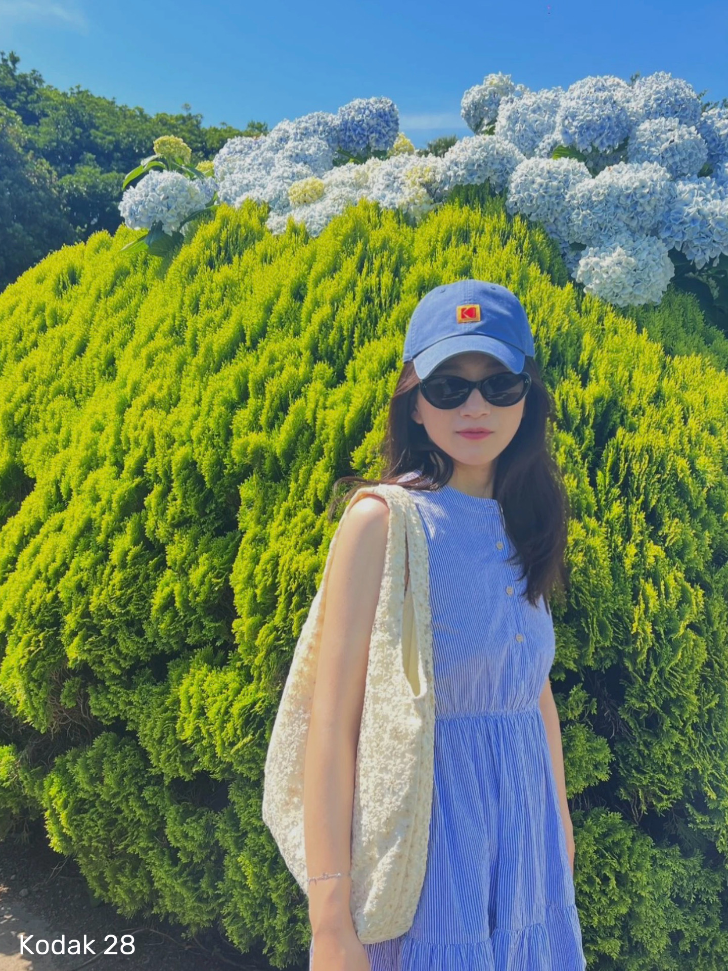 d1c034308209e8073bf8d8029b352232