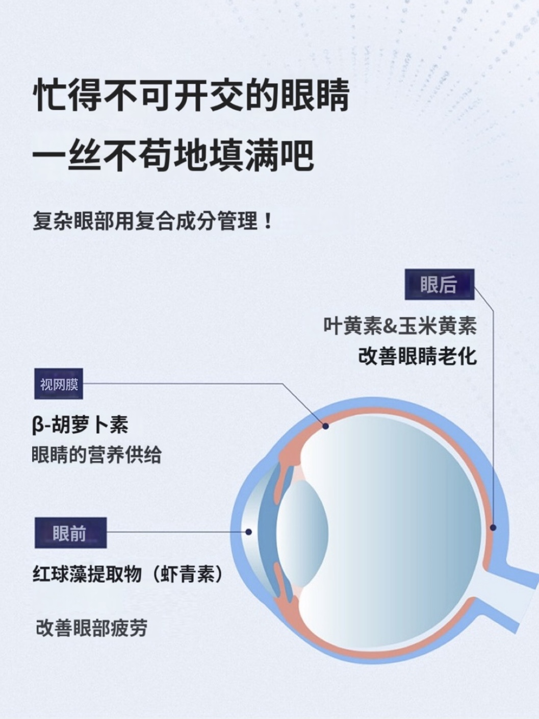 1b58962e2379e0fdca0a4ba323af3ac6