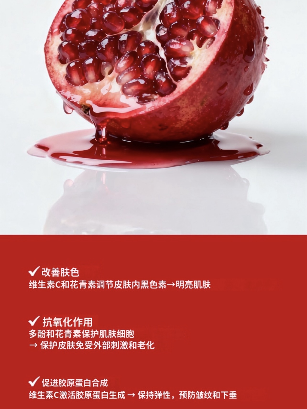 2c63481e126bb0b0a9a30ca2d9649954