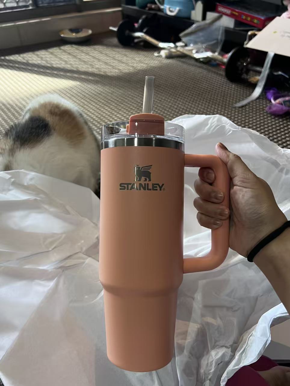 15580ea0e2500db0572c141abbdf0637