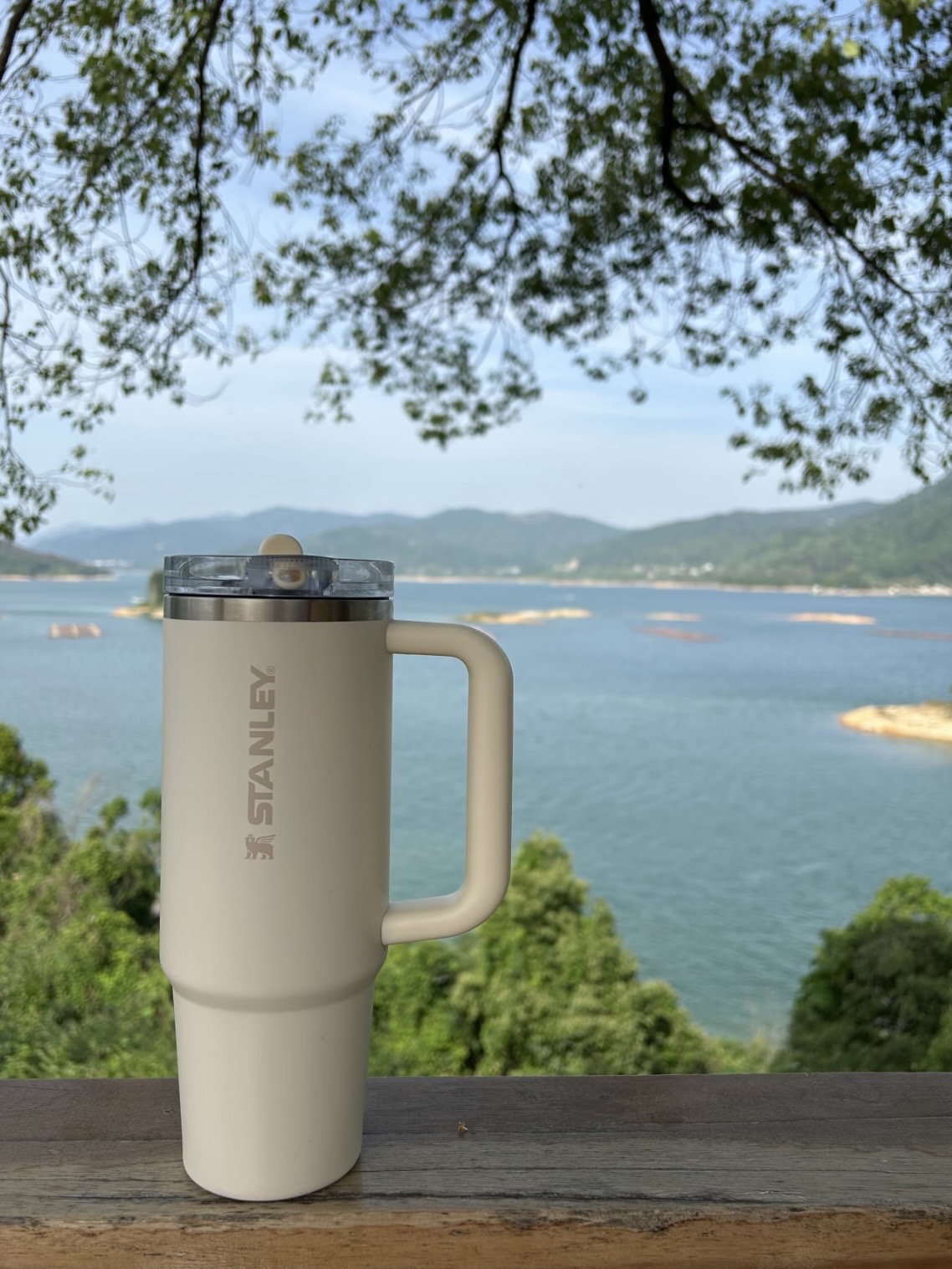 8e759b2654393f930c0b8c3c31a954a1