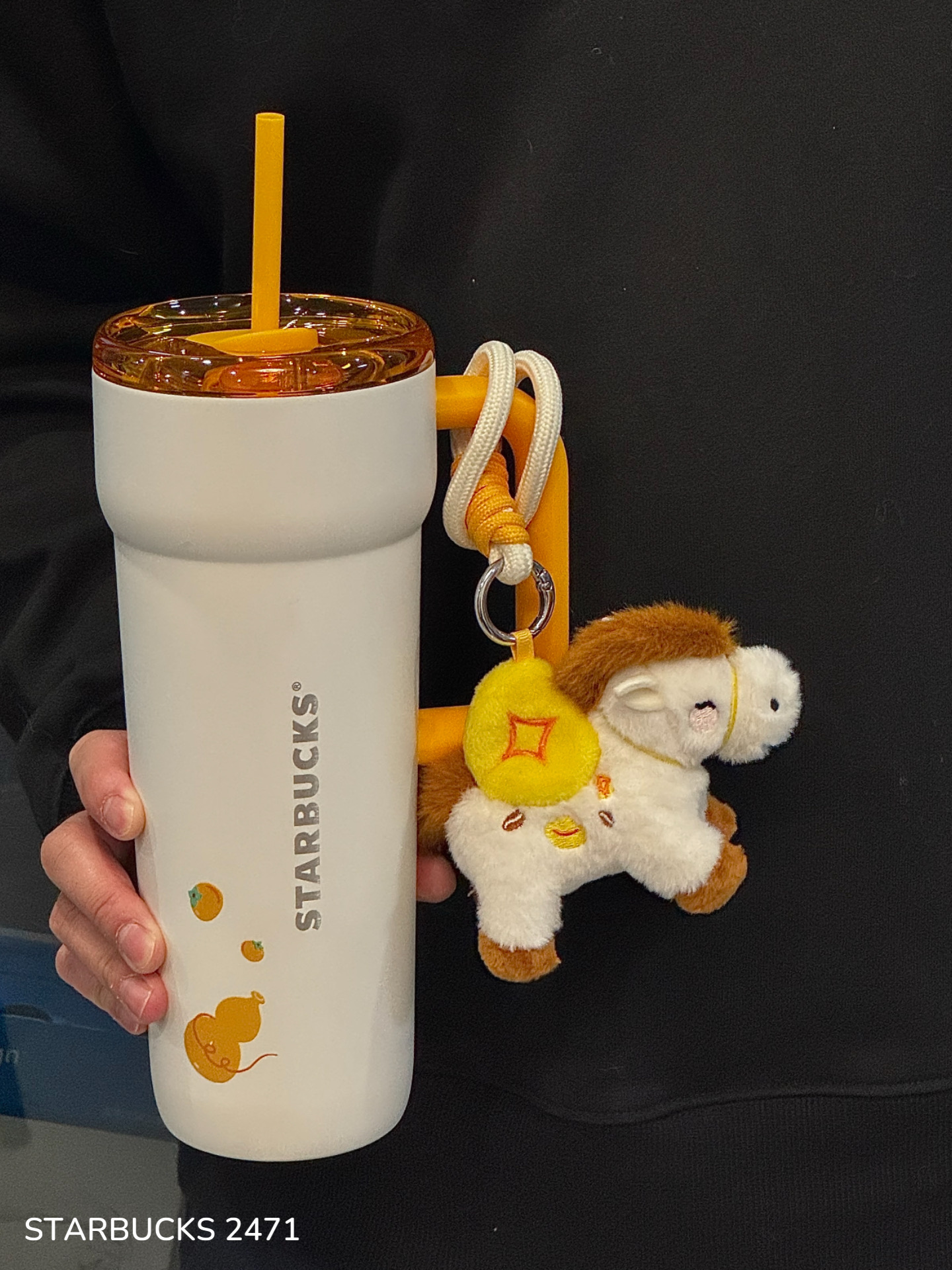 6e08d26a95a89332a78bc28baa58dcb1