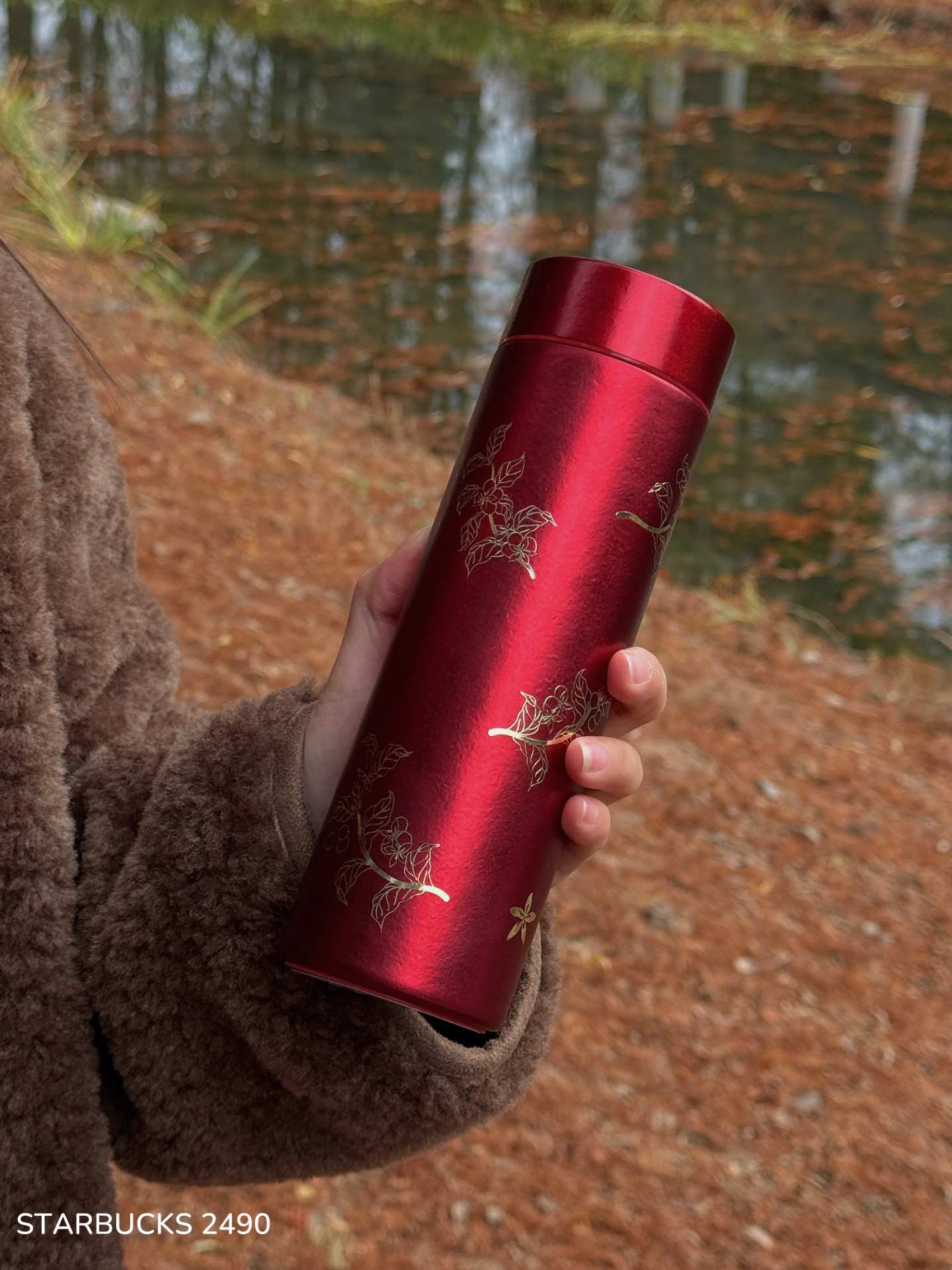 aaec9e2642422254a3232cad99f7c325