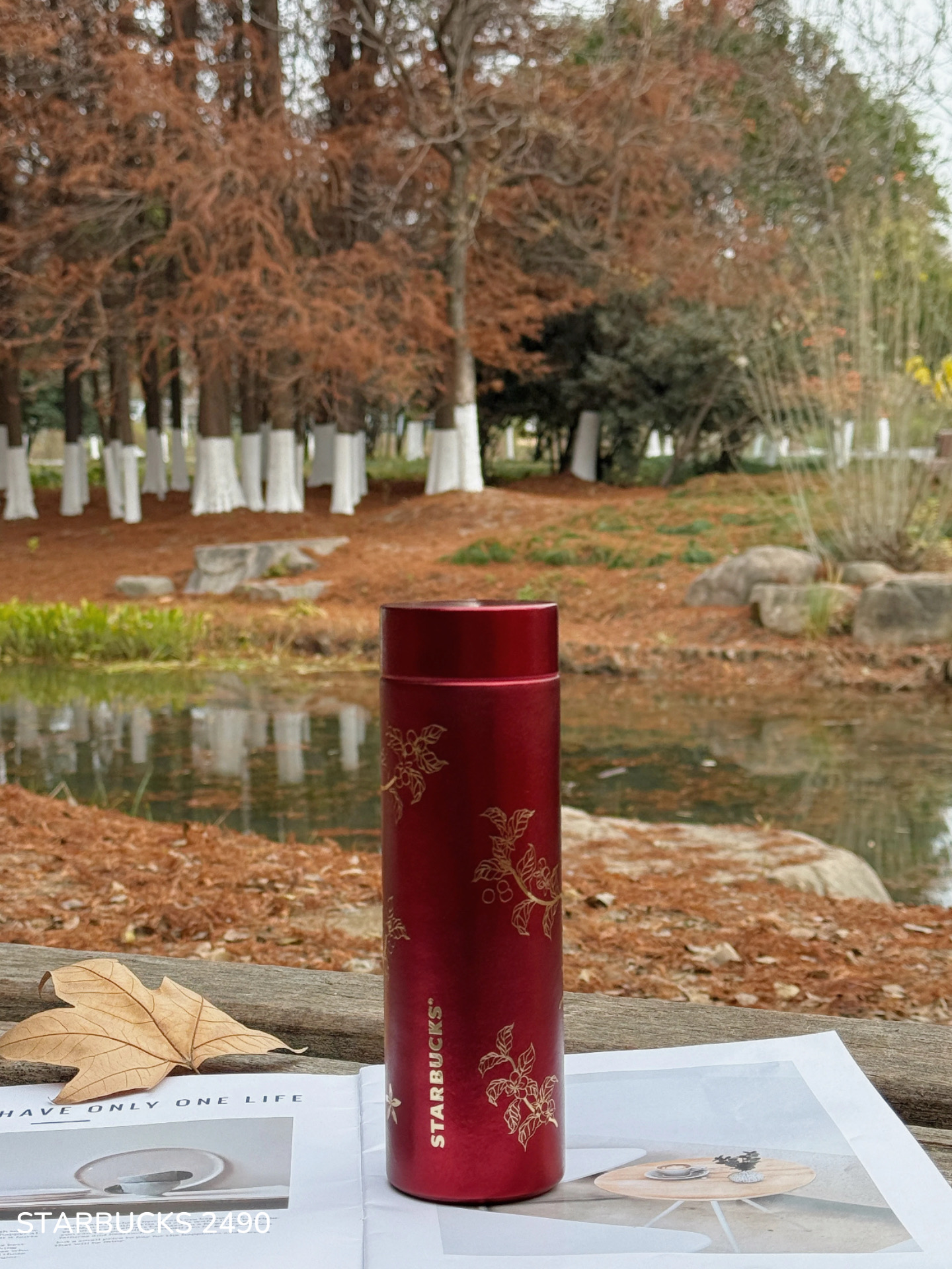 2266fd6b0e3ebbe34da91edc0ea2e0d1