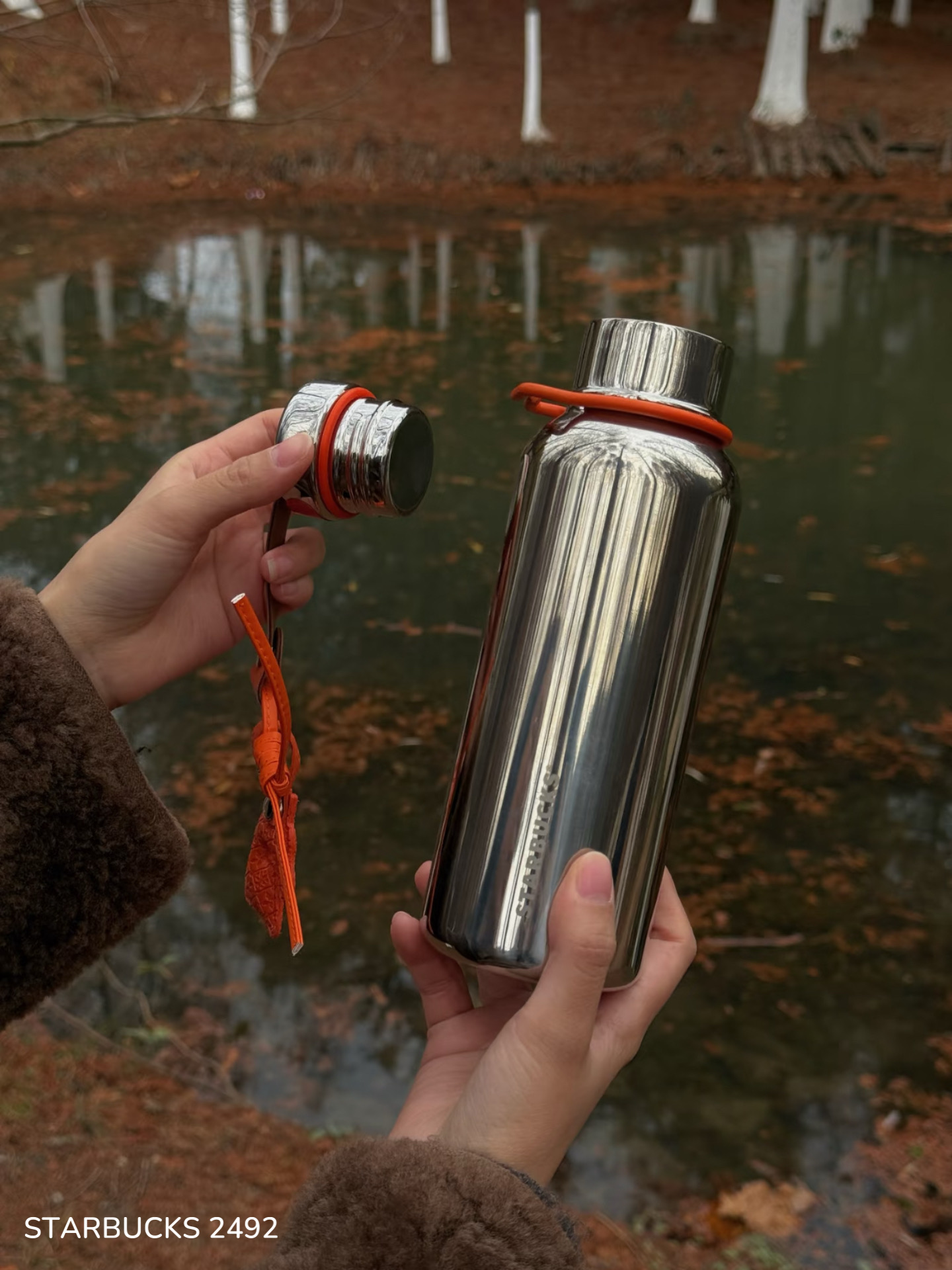 597d4220ed64d29d9aa66365b0ba0bcb