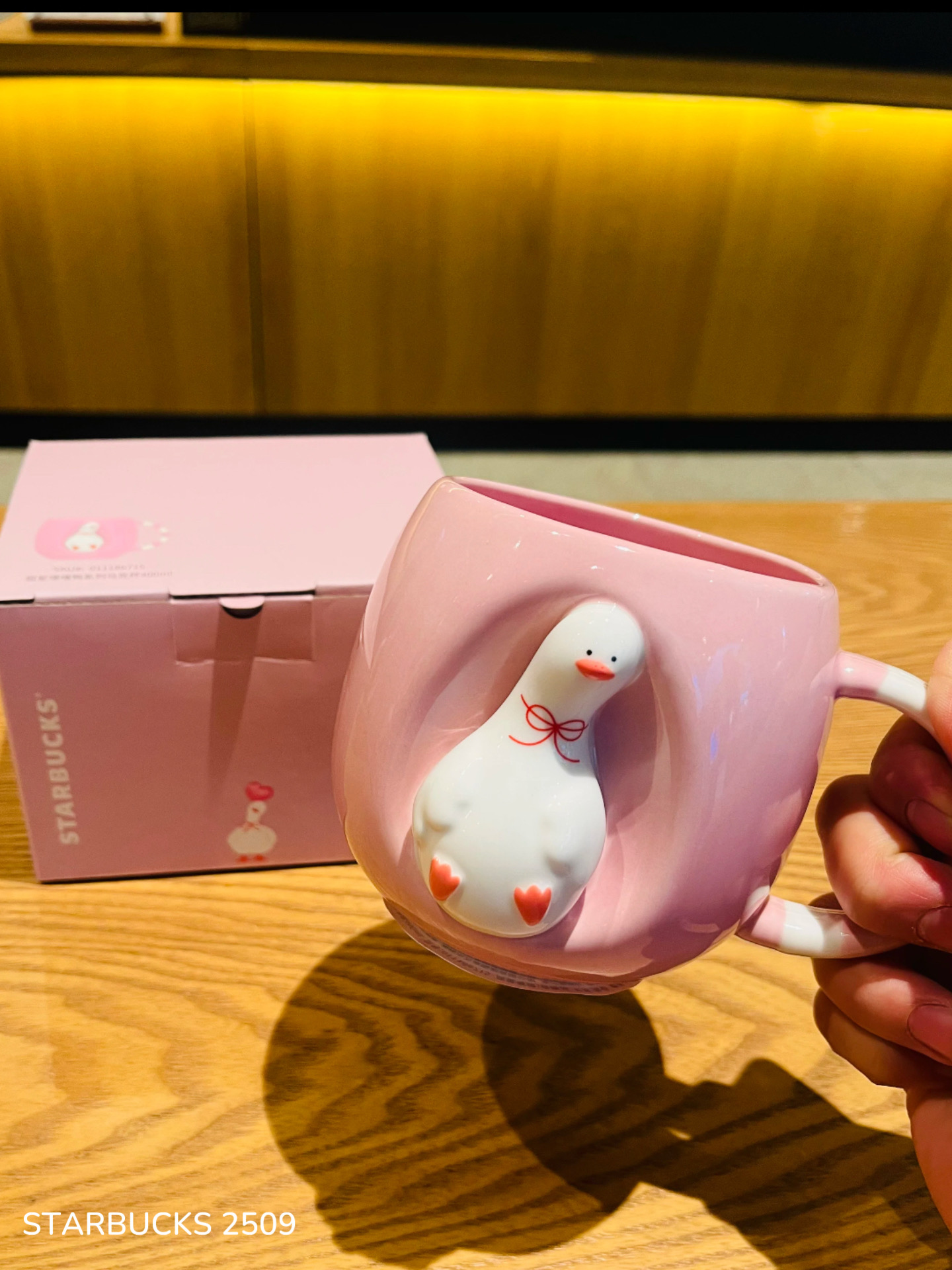 5c24fb643f37f5b47bf45f71bd9242c6